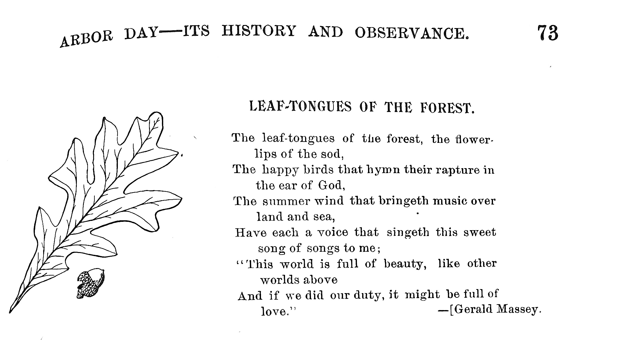 Document_2026-02-04_110228 2.PNG