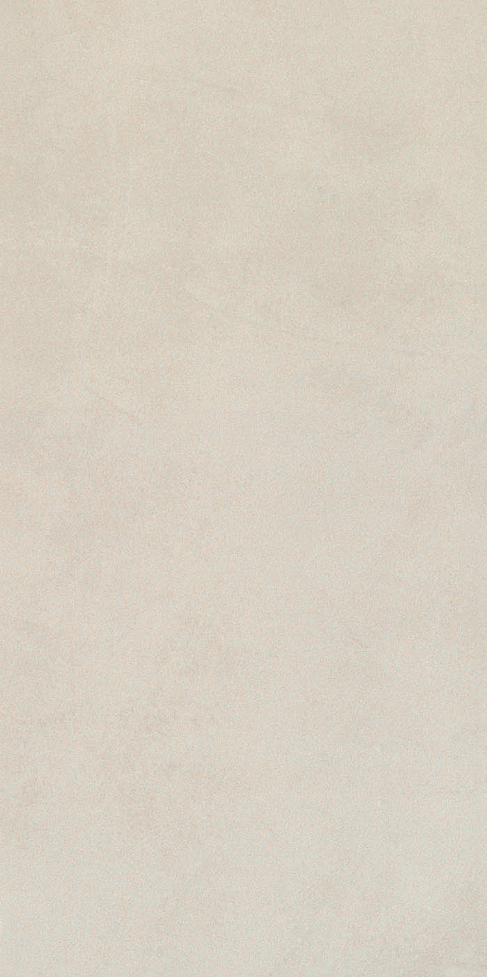 White 12"x24" Porcelain Matte Finish