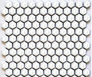 HEX-1100 Hexagon 1" Shiny White