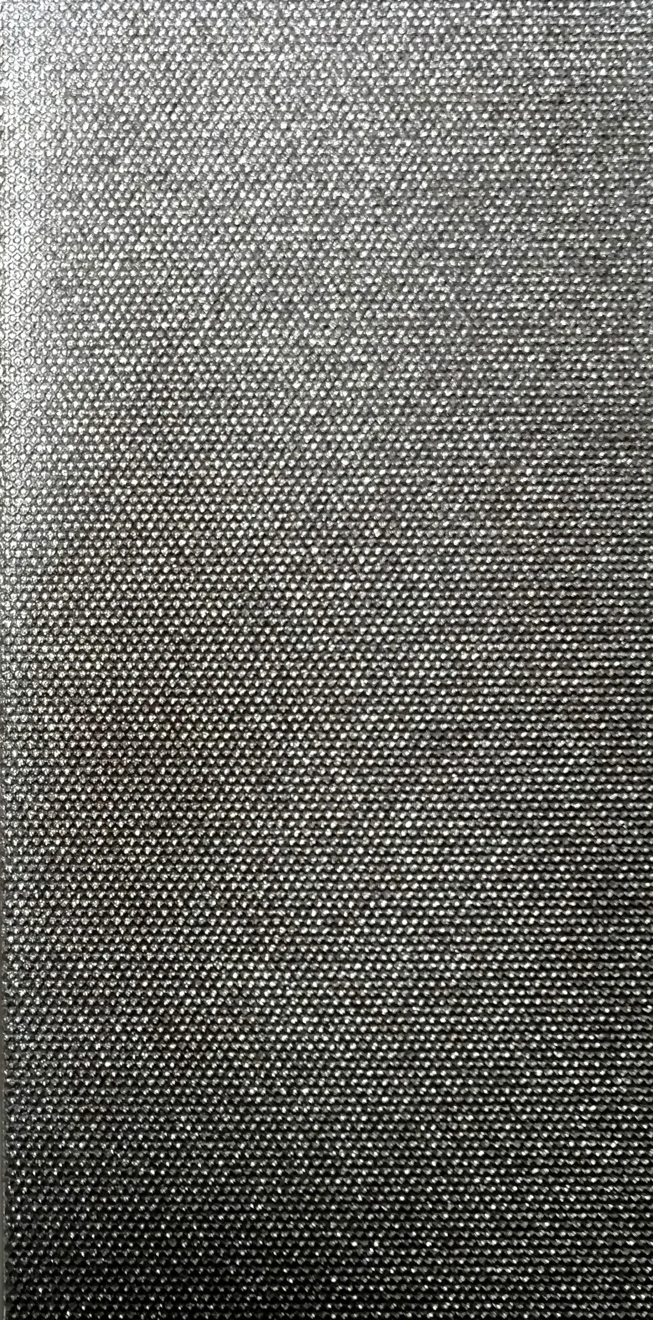 Talisman Inox -&nbsp;12" x 24" Deco