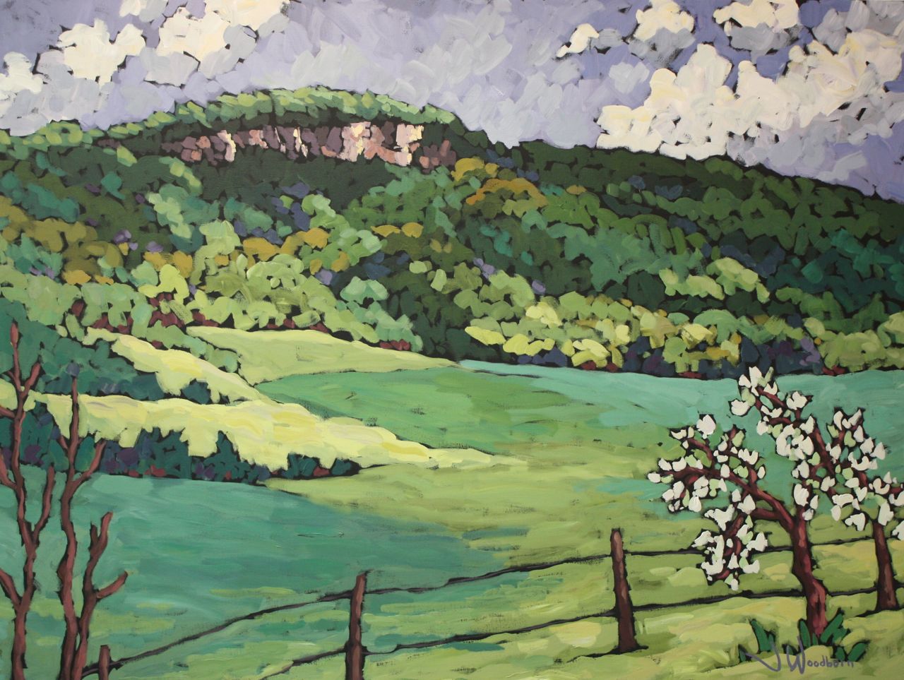 Old Baldy in Spring