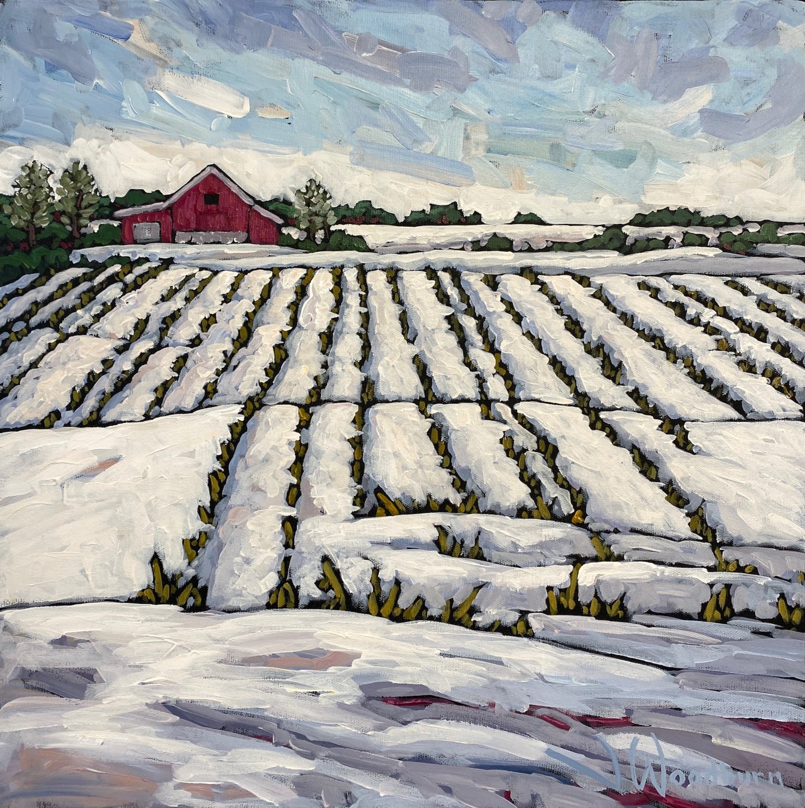 snowy_fields_web - 1.jpeg