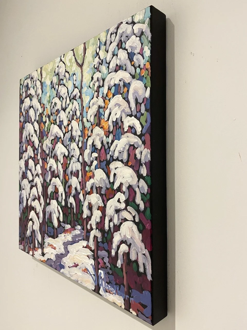 heavy_snow_light_heart_side - 1.jpeg