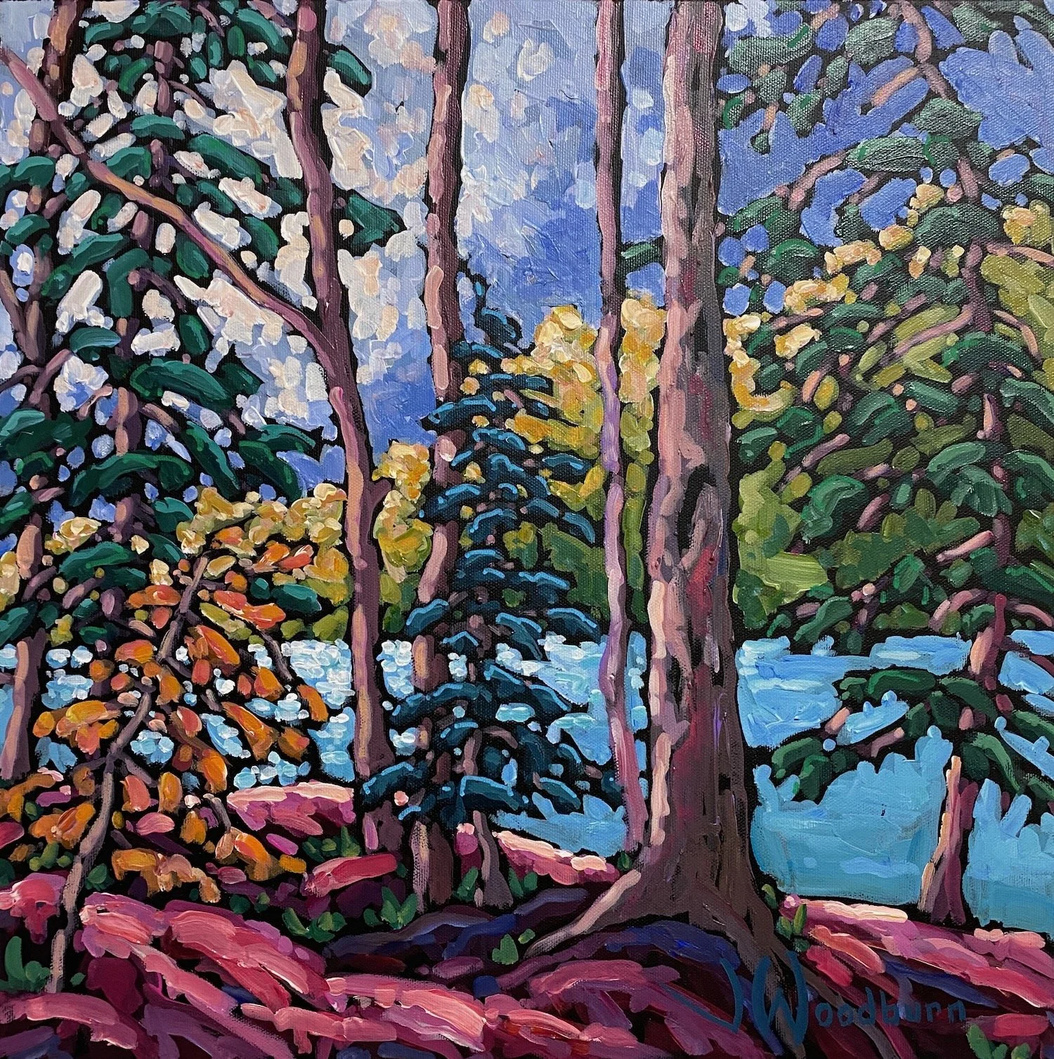 algonquin_light_sweb - 1.jpeg