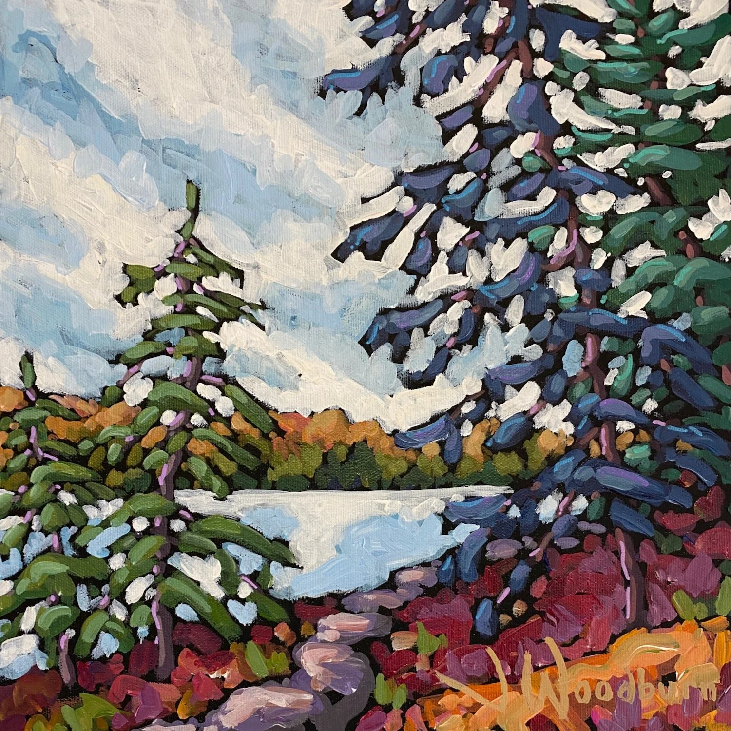 Algonquin October 12"x12" Acrylic on Canvas, Autumn Art Sale at McMichael Gallery $325