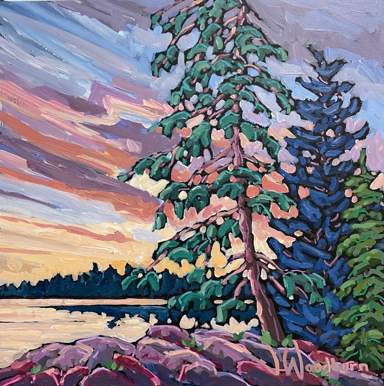 Towering Pine 16"x16" Acrylic on Canvas, Cloud Gallery $450