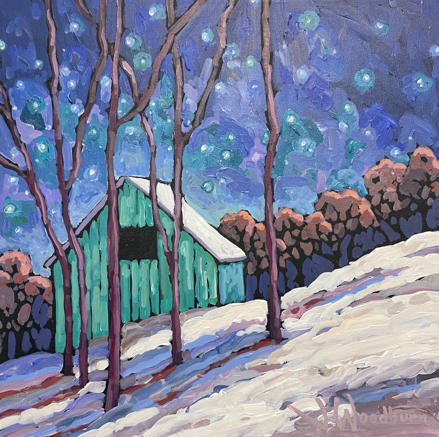 cabin_starlight_sweb - 1.jpeg