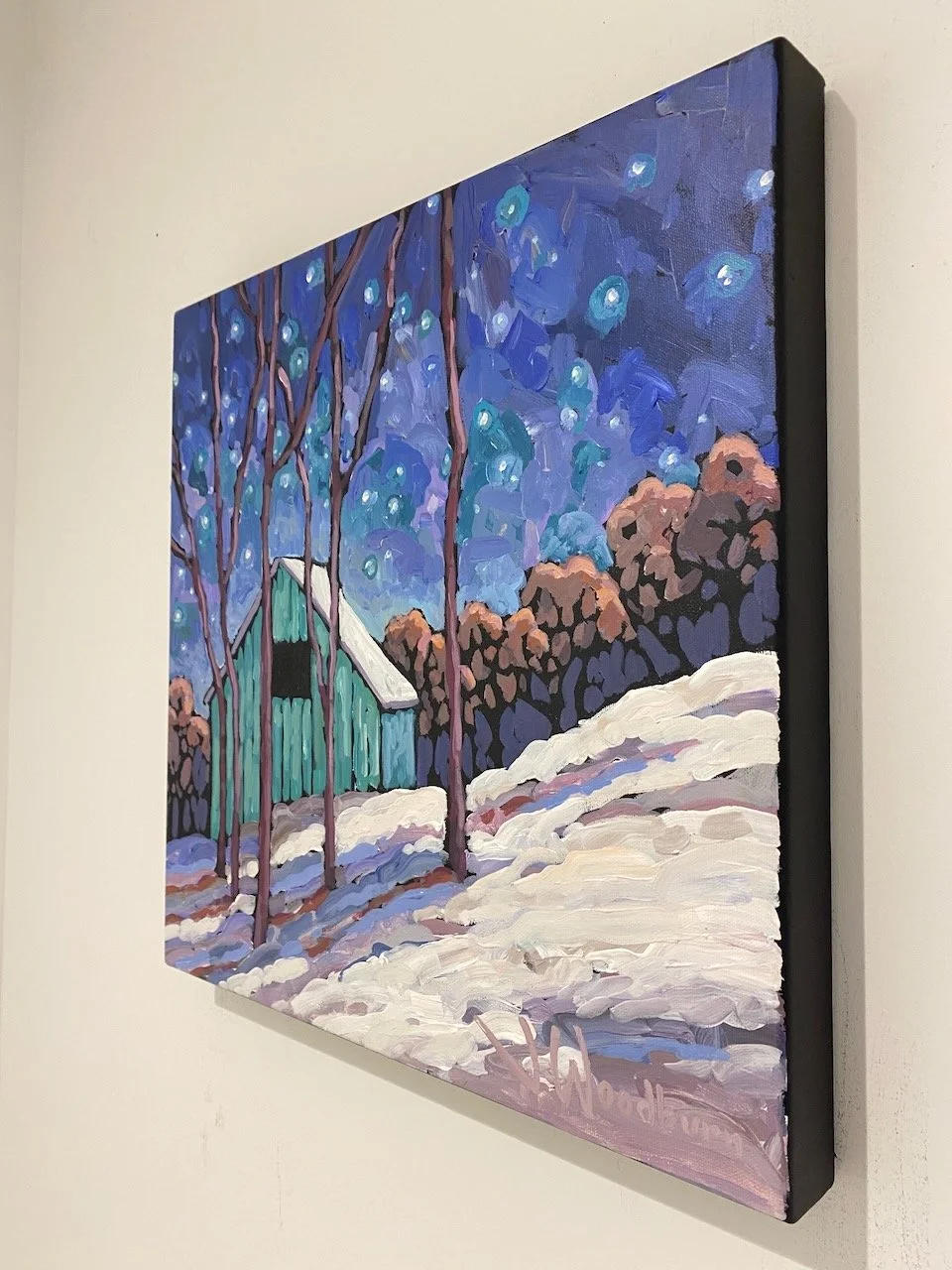 cabin_starlight_side - 1.jpeg