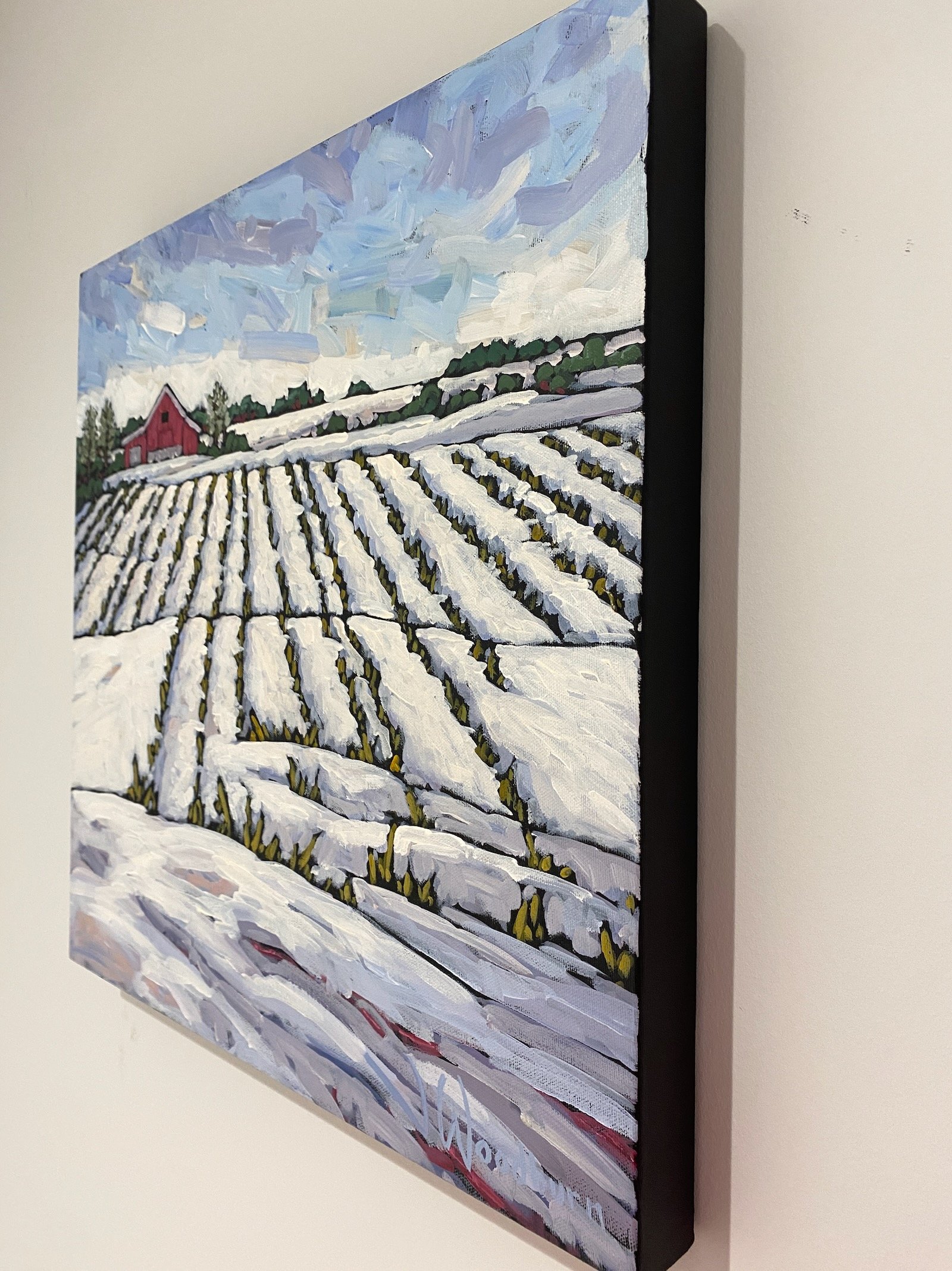 snowy_fields_web_side - 1.jpeg