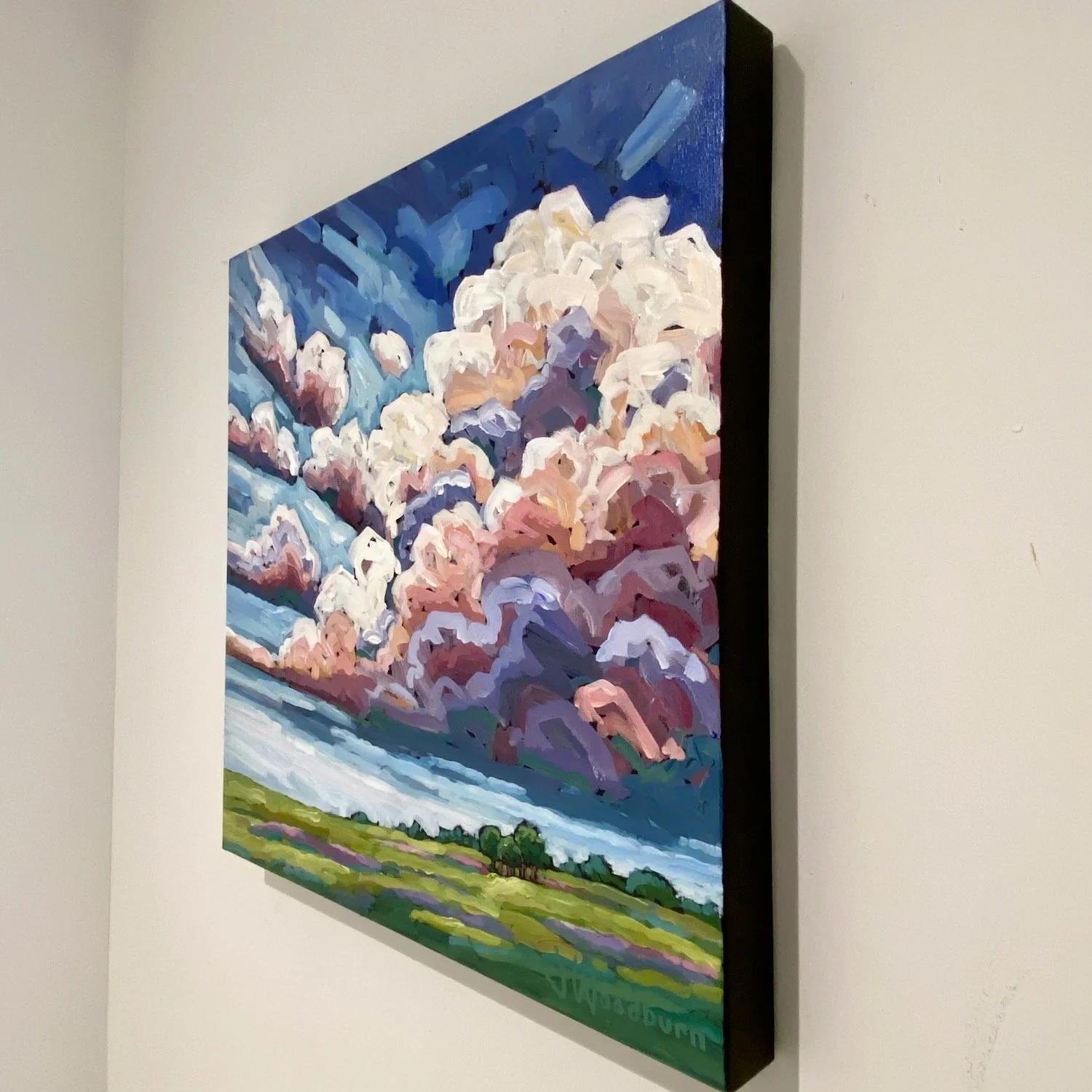 empty_fields_and_soaring_clouds_side - 1.jpeg