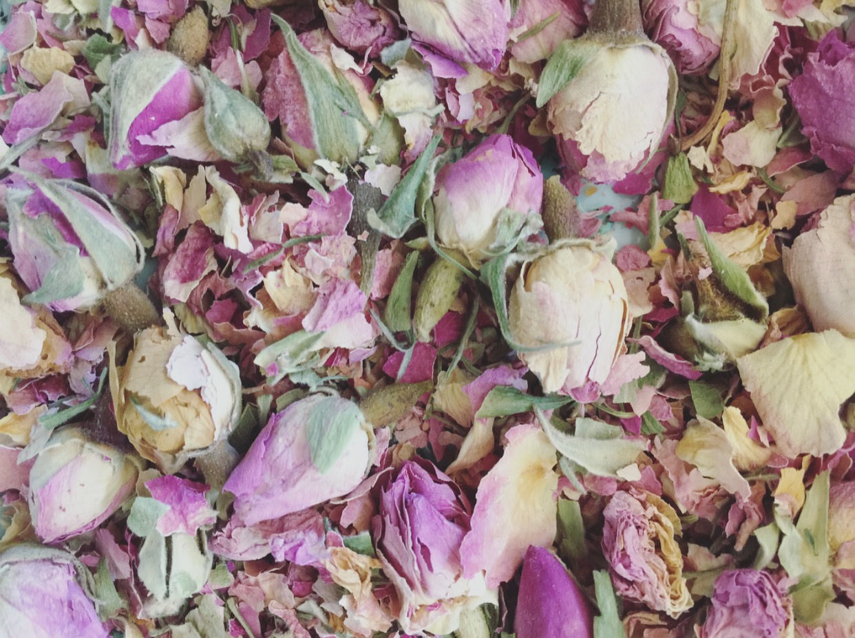 Dried roses by Eliza Demarest