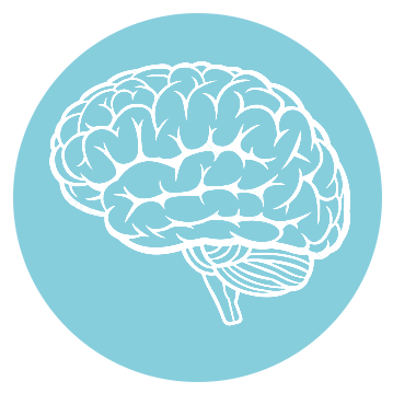 brain2.png