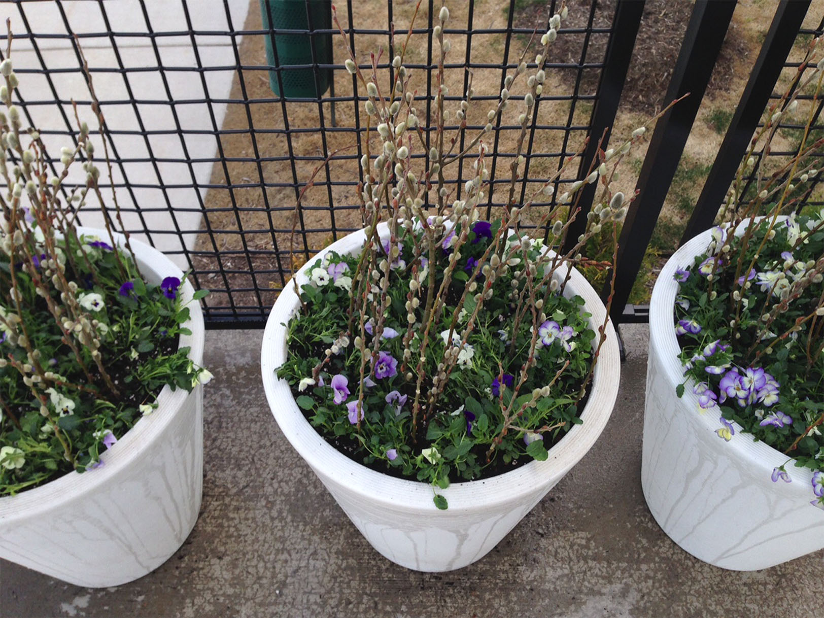 SpringPlanters-4.jpg