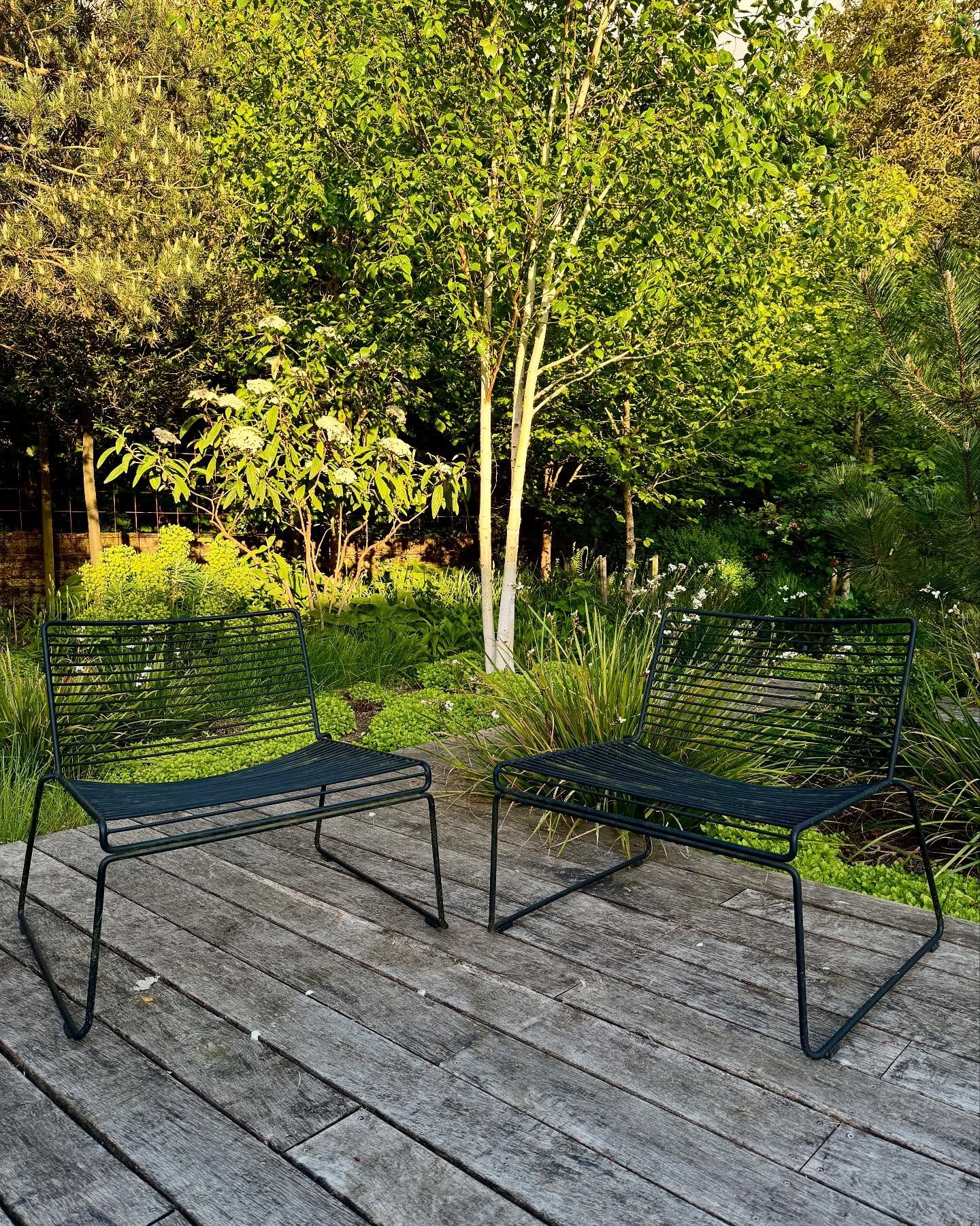 All the greens and here comes the evening sun 💚

#hay #hayhee #silverbirch #betulautilisjacquemontii #oakdecking #garden #design #gdn #cambridgegardendesign #supernature #supernaturegarden #supernaturelandscape #cambridge #gardendesign #landscapedes
