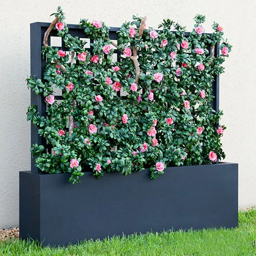 Why You Should Put Plants in the Shower Design Ideas for the Built World