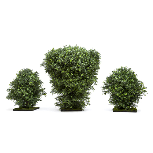 Custom Shrubs - EcoVara
