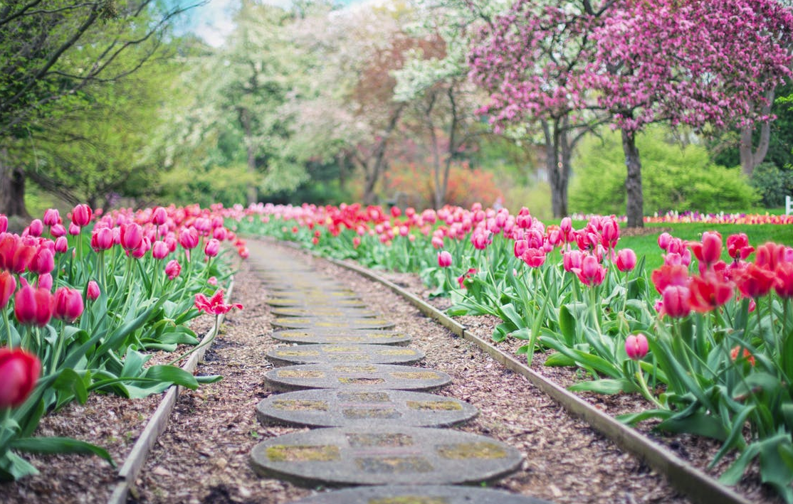 20+ CAD Drawings to Help Design a Beautiful Garden Oasis