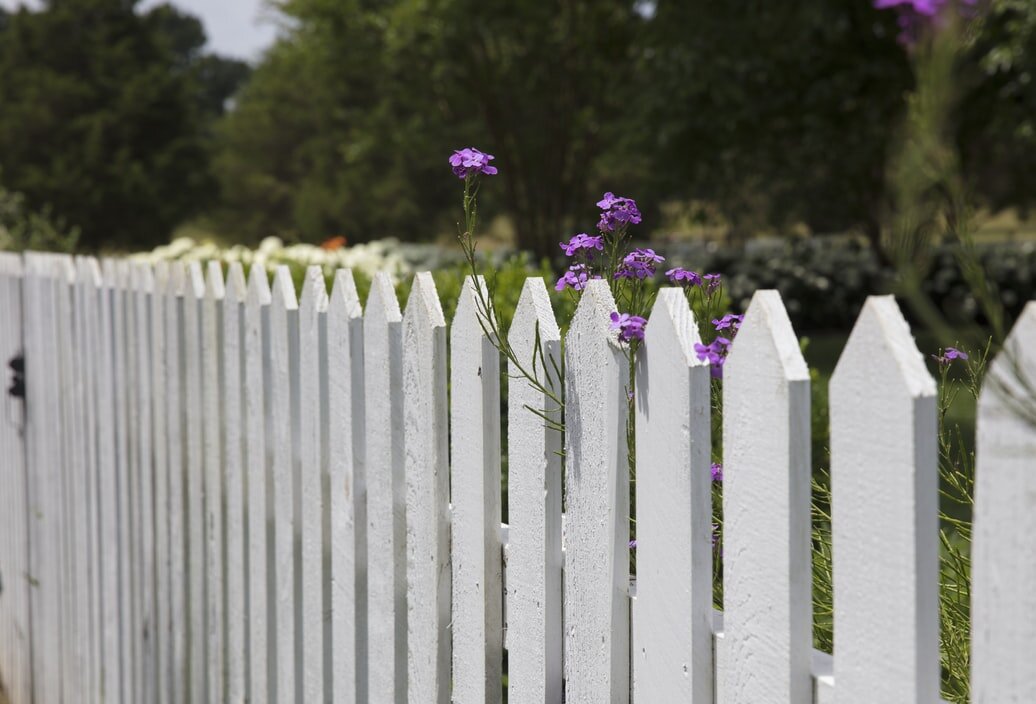 fence.jpg