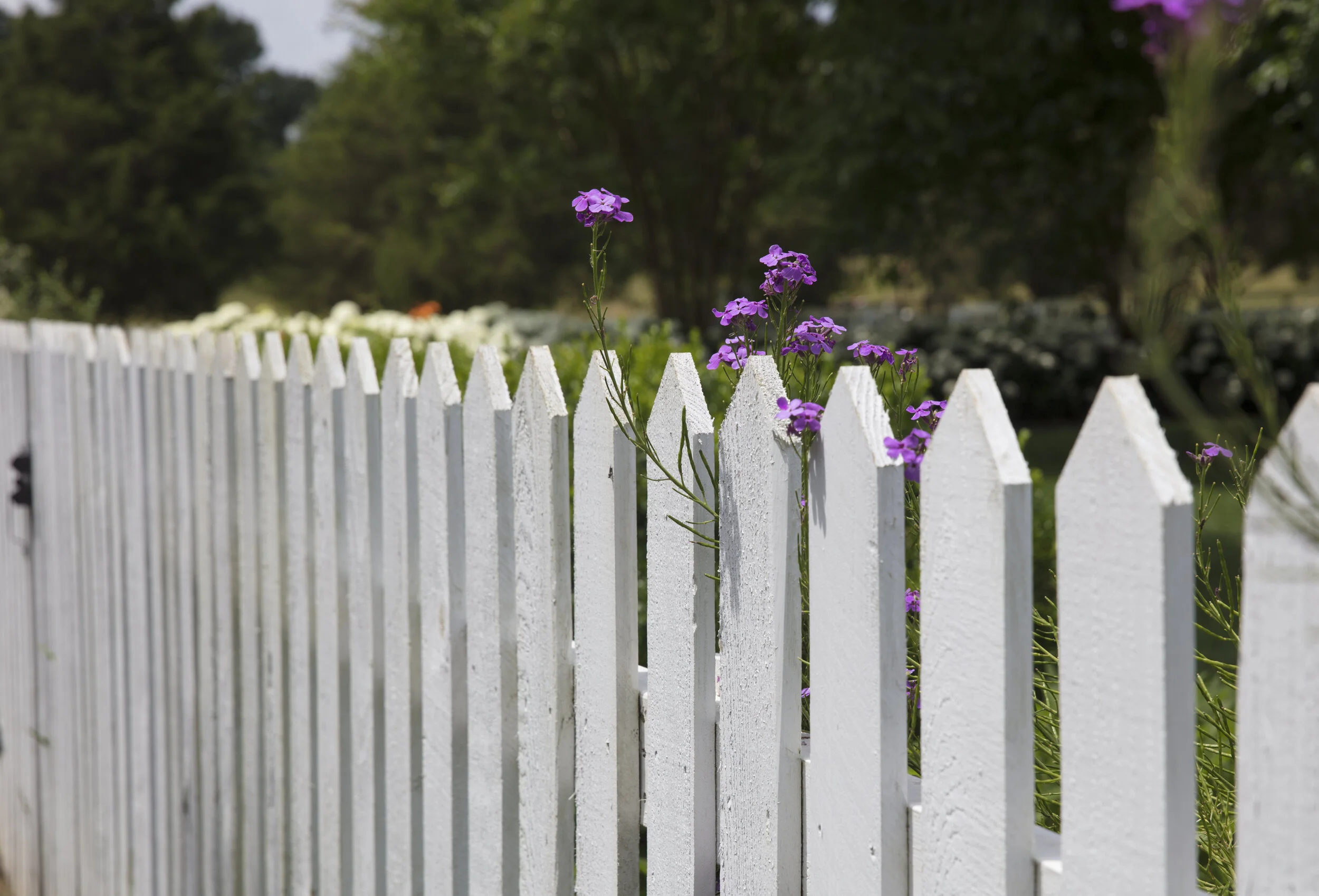 20+ CAD Drawings of Fences & Gates for Privacy, Security, and Protection