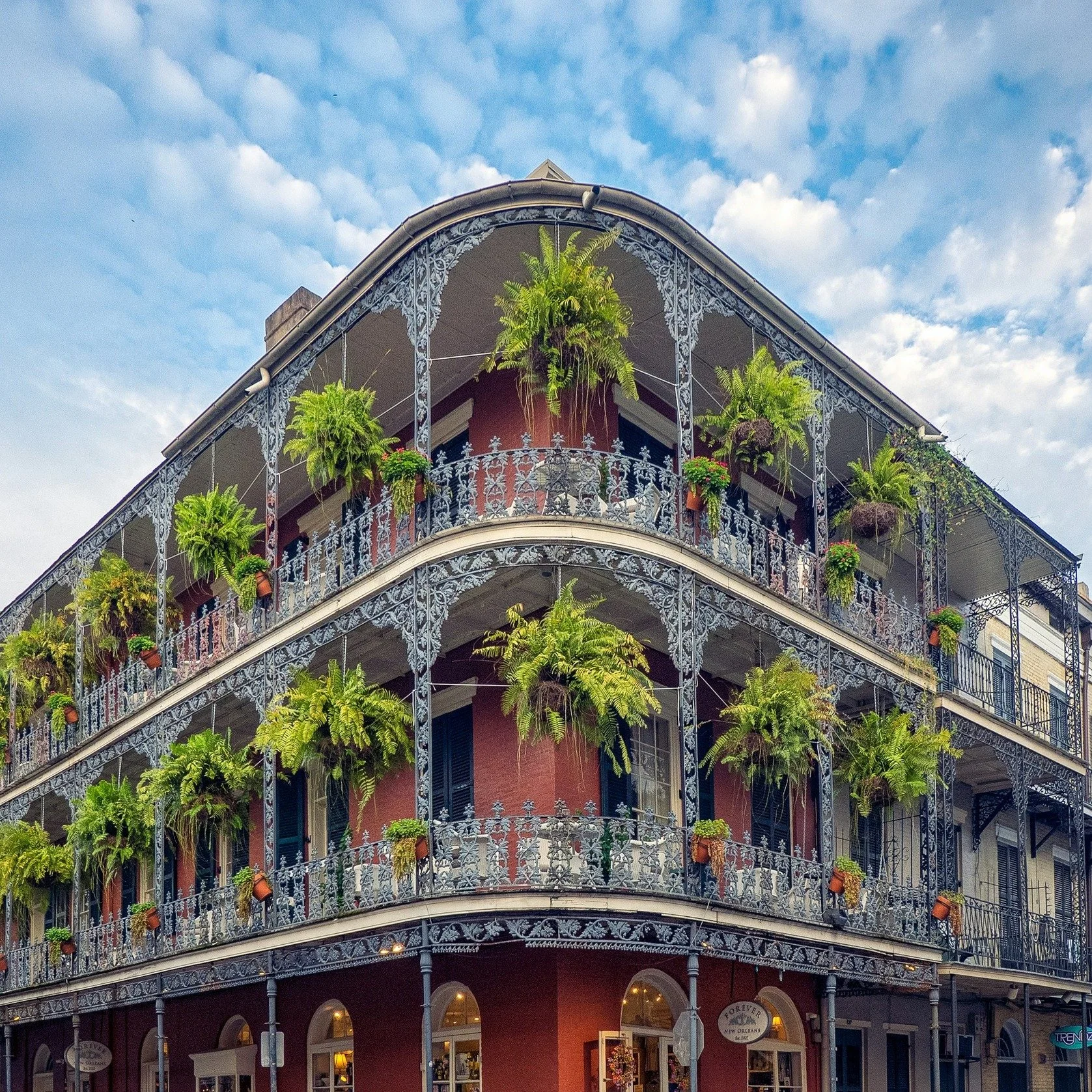 🎉 ASLA 2025 is less than a month away! To help you get the most out of this year&rsquo;s conference in iconic New Orleans, we&rsquo;ve created The Landscape Architect&rsquo;s Guide to ASLA 2025: Beyond Boundaries.

This guide is packed with everythi