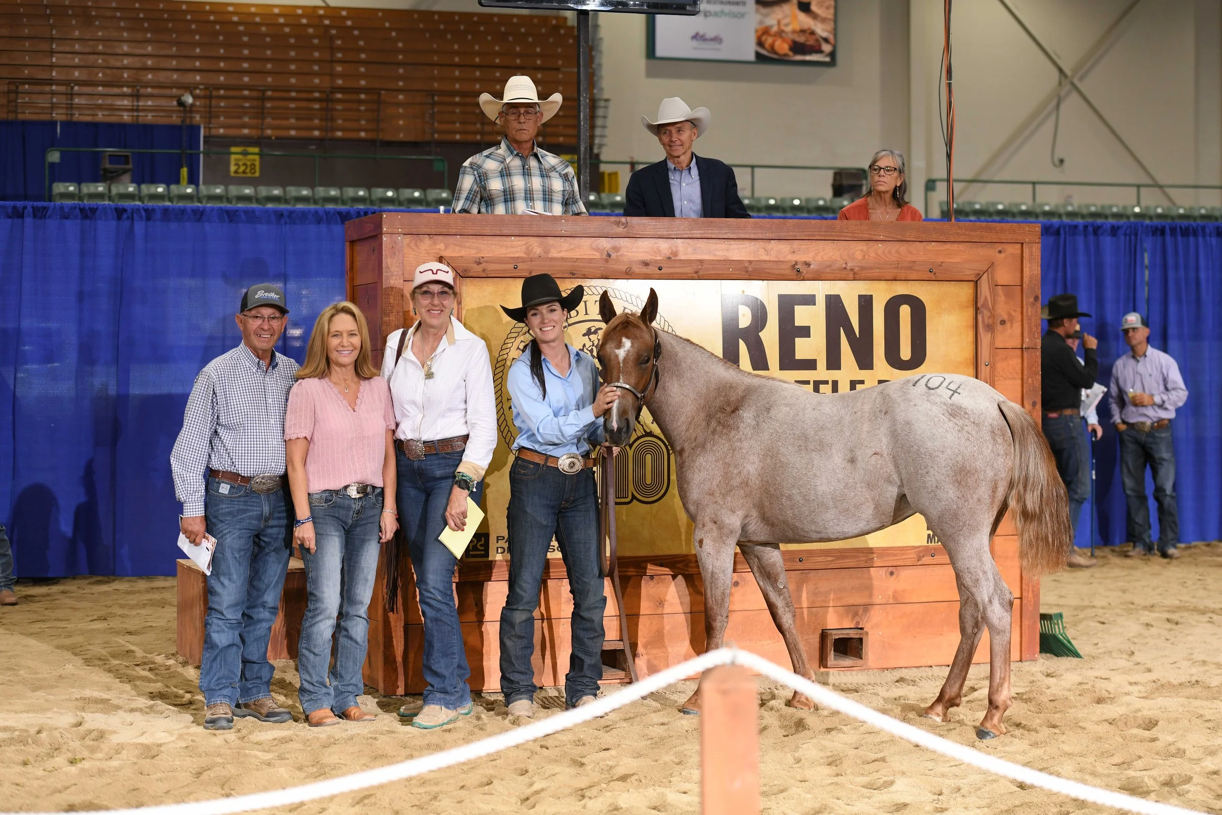 Horse Sale — Reno Snaffle Bit Futurity