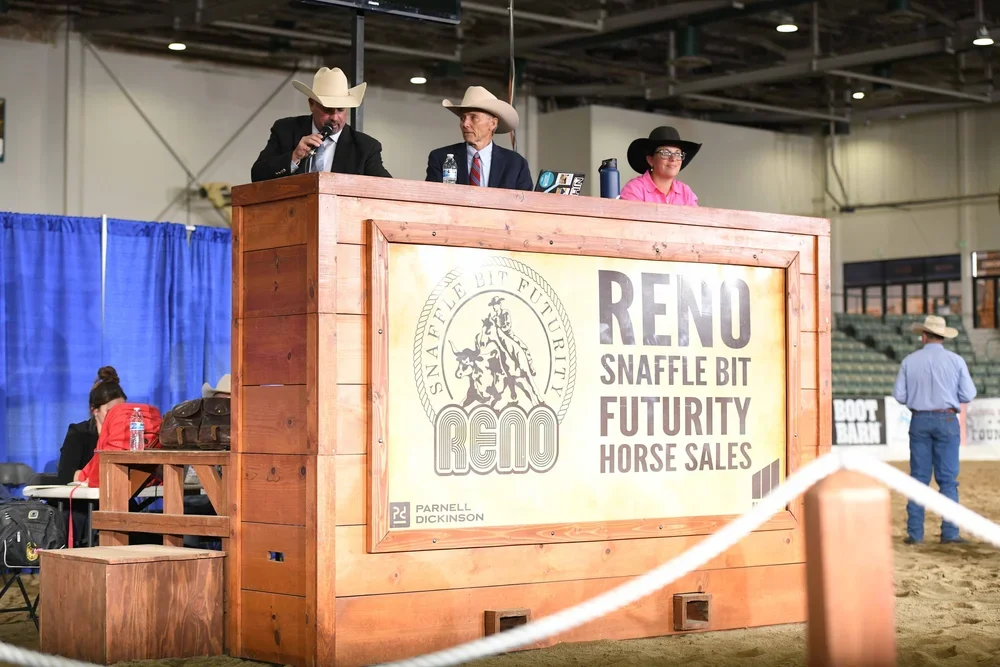 Horse+Sale_RSBF+2024_25R_6626+web.webp