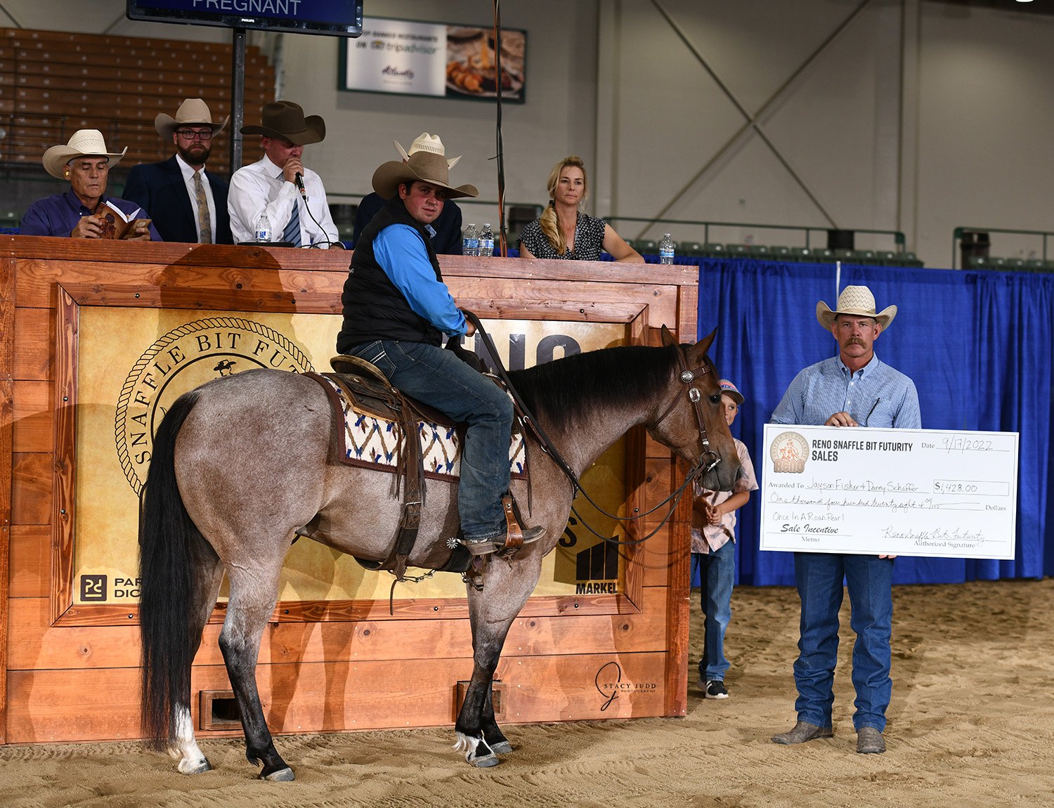 Horse Sale — Reno Snaffle Bit Futurity