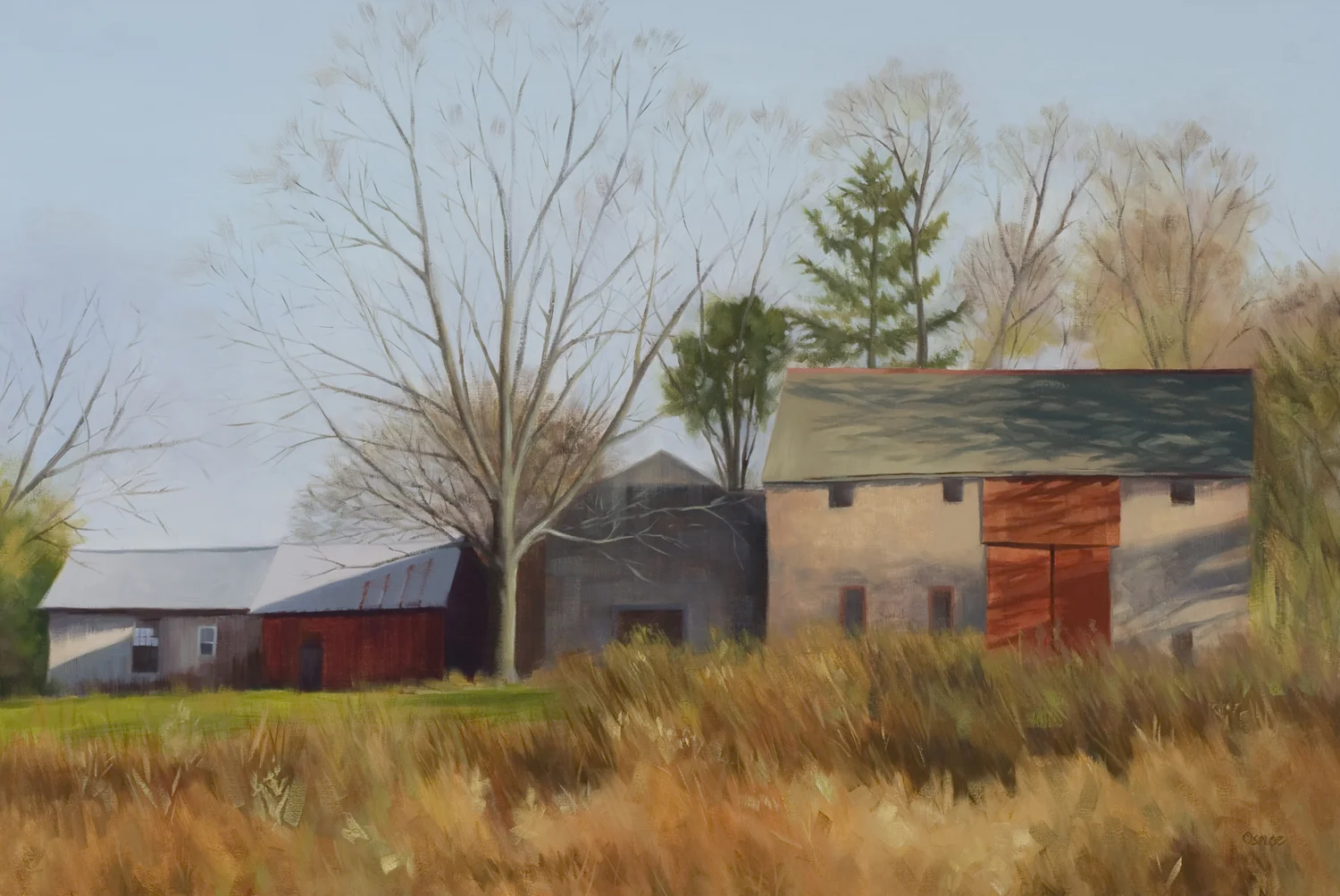 Late Afternoon