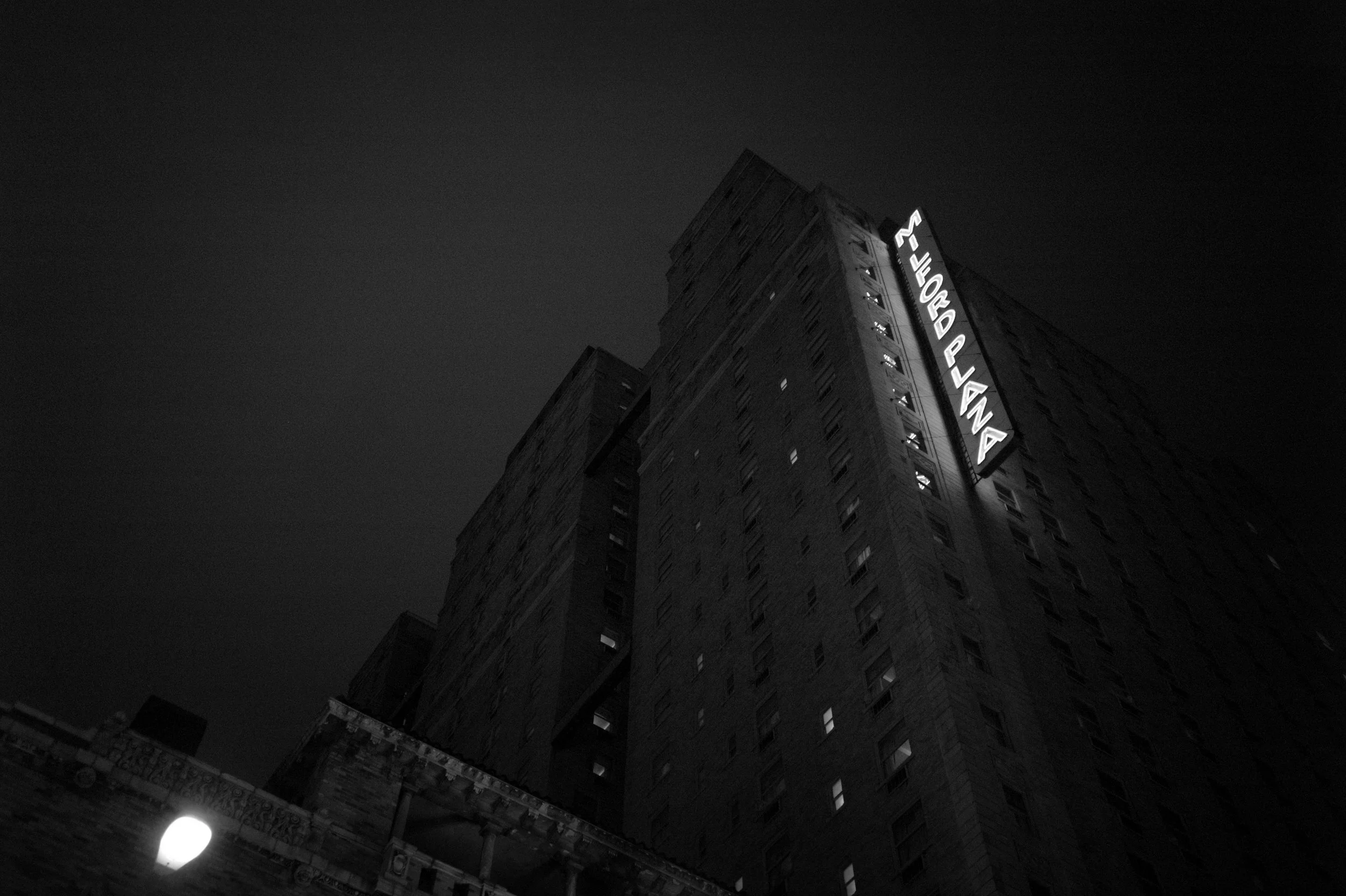 L1006431.jpg