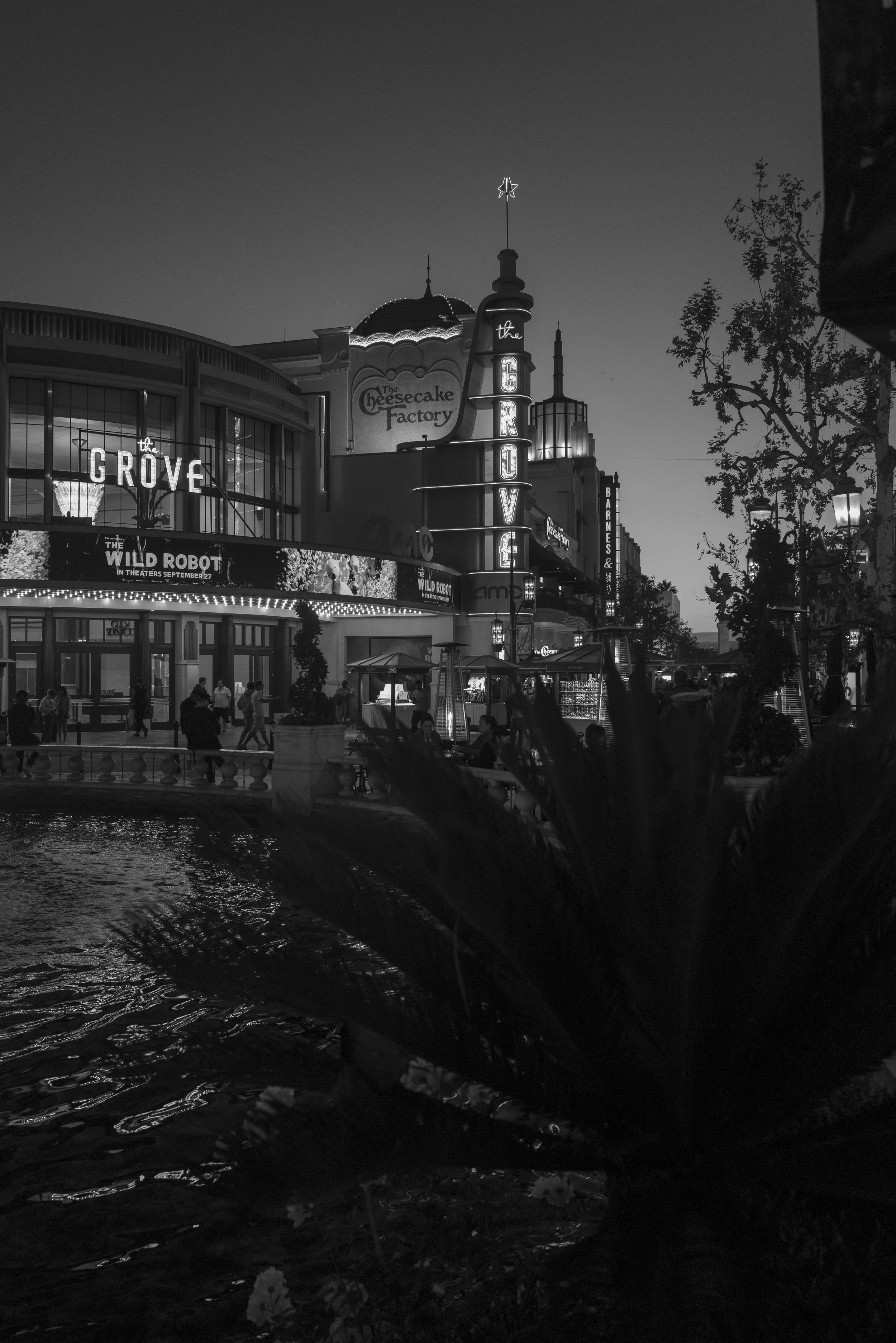 L1006862.jpg