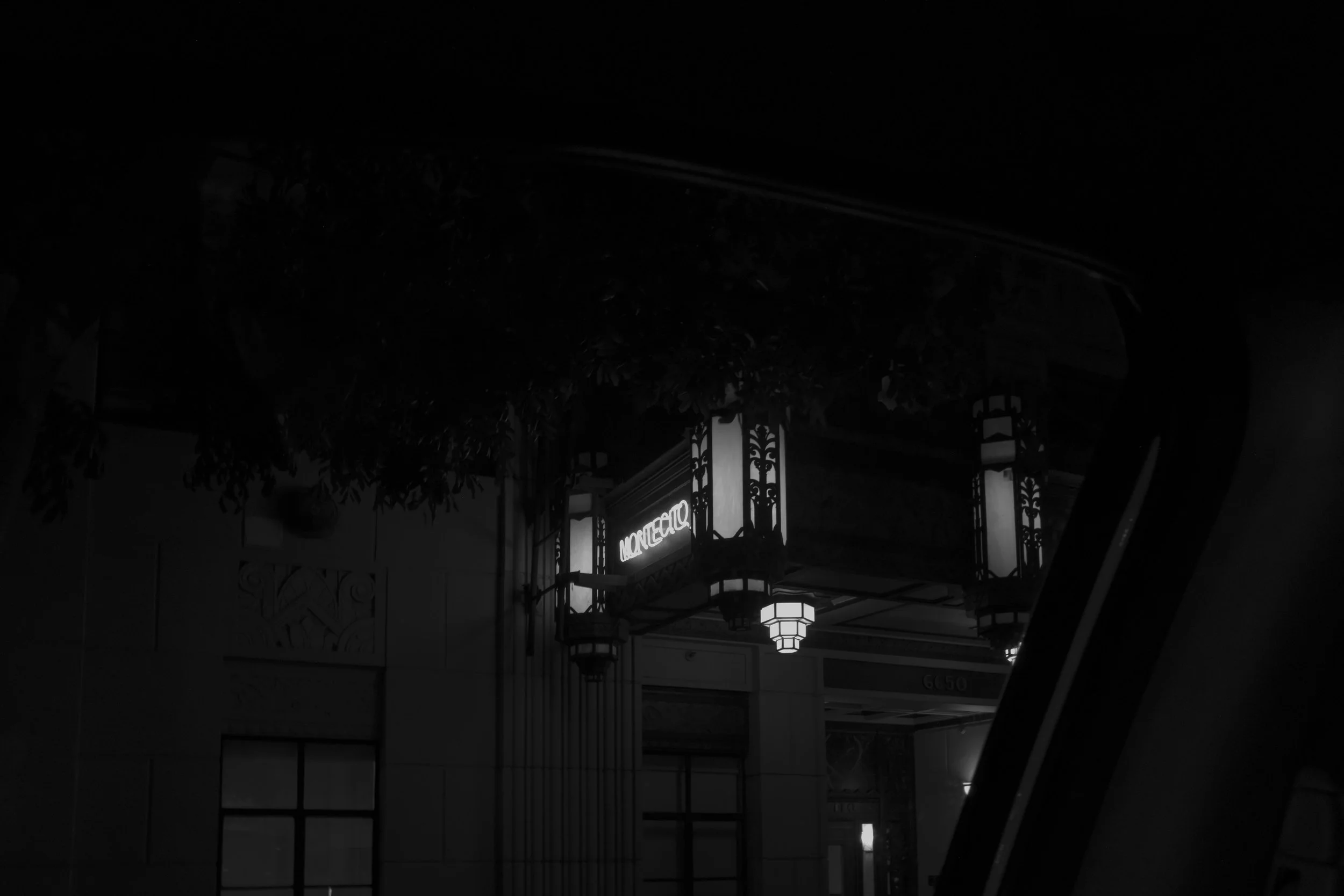 L1006751-2.jpg