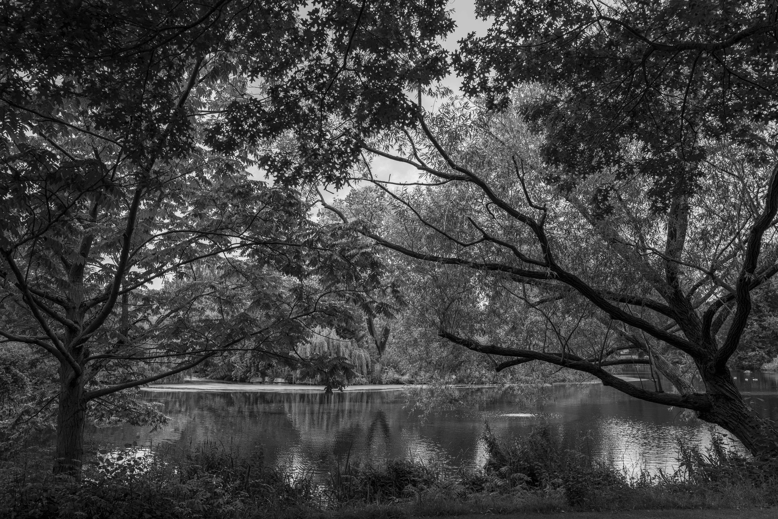 L1013946.jpg