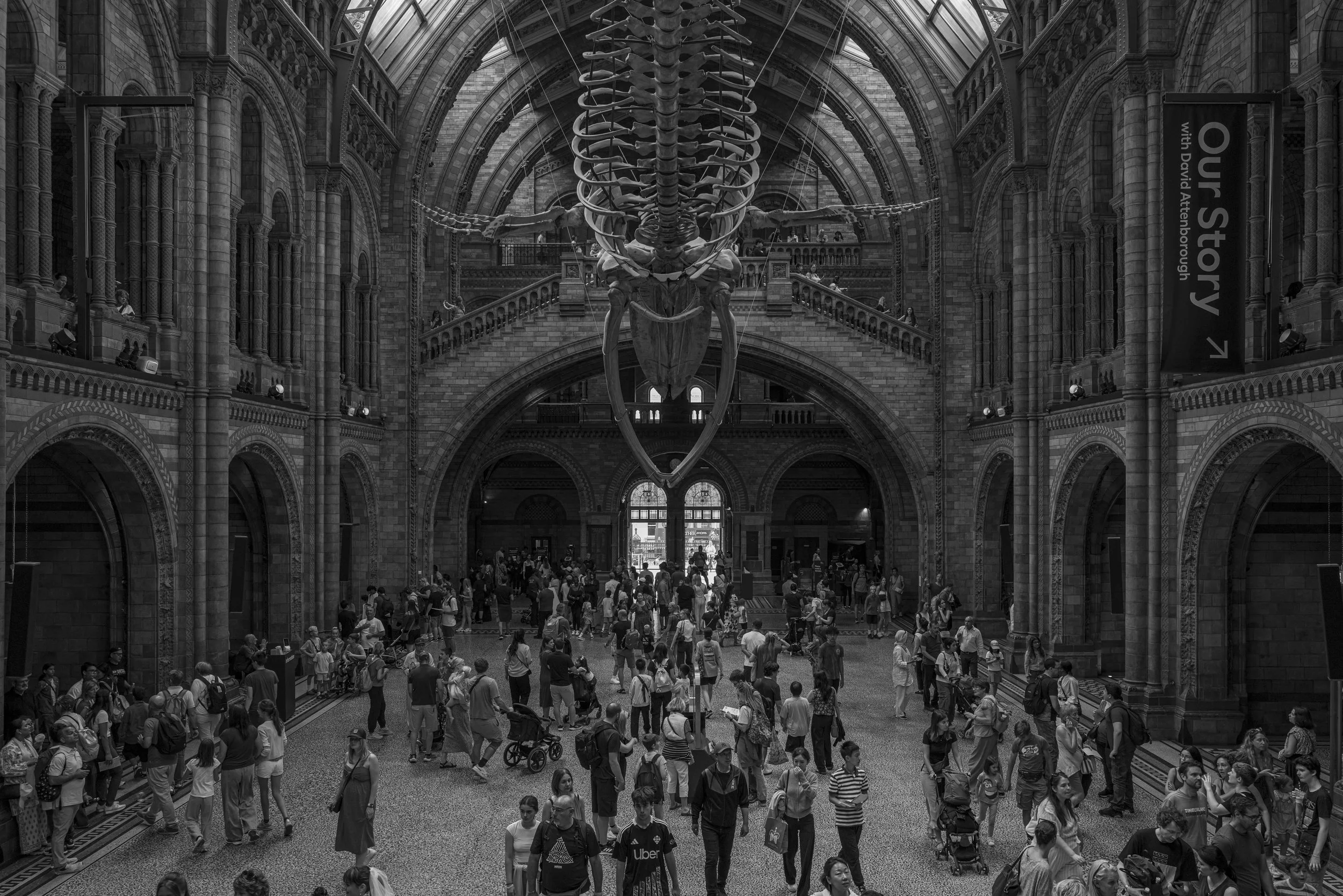 L1013849.jpg