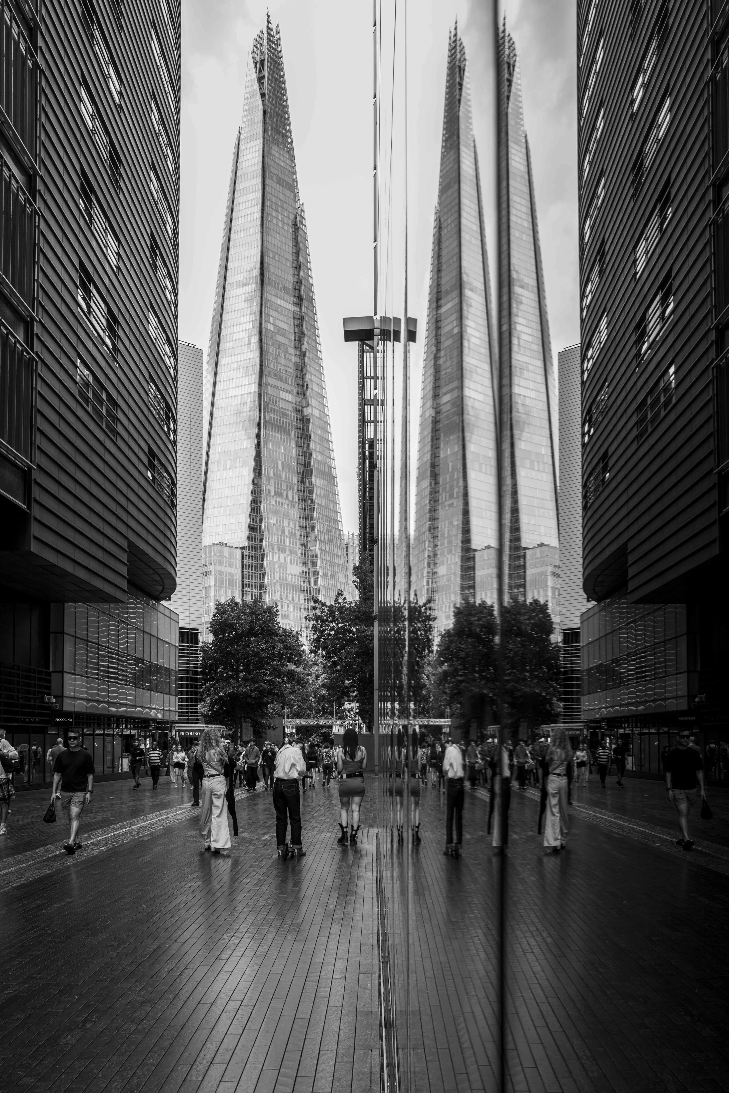 L1013602.jpg
