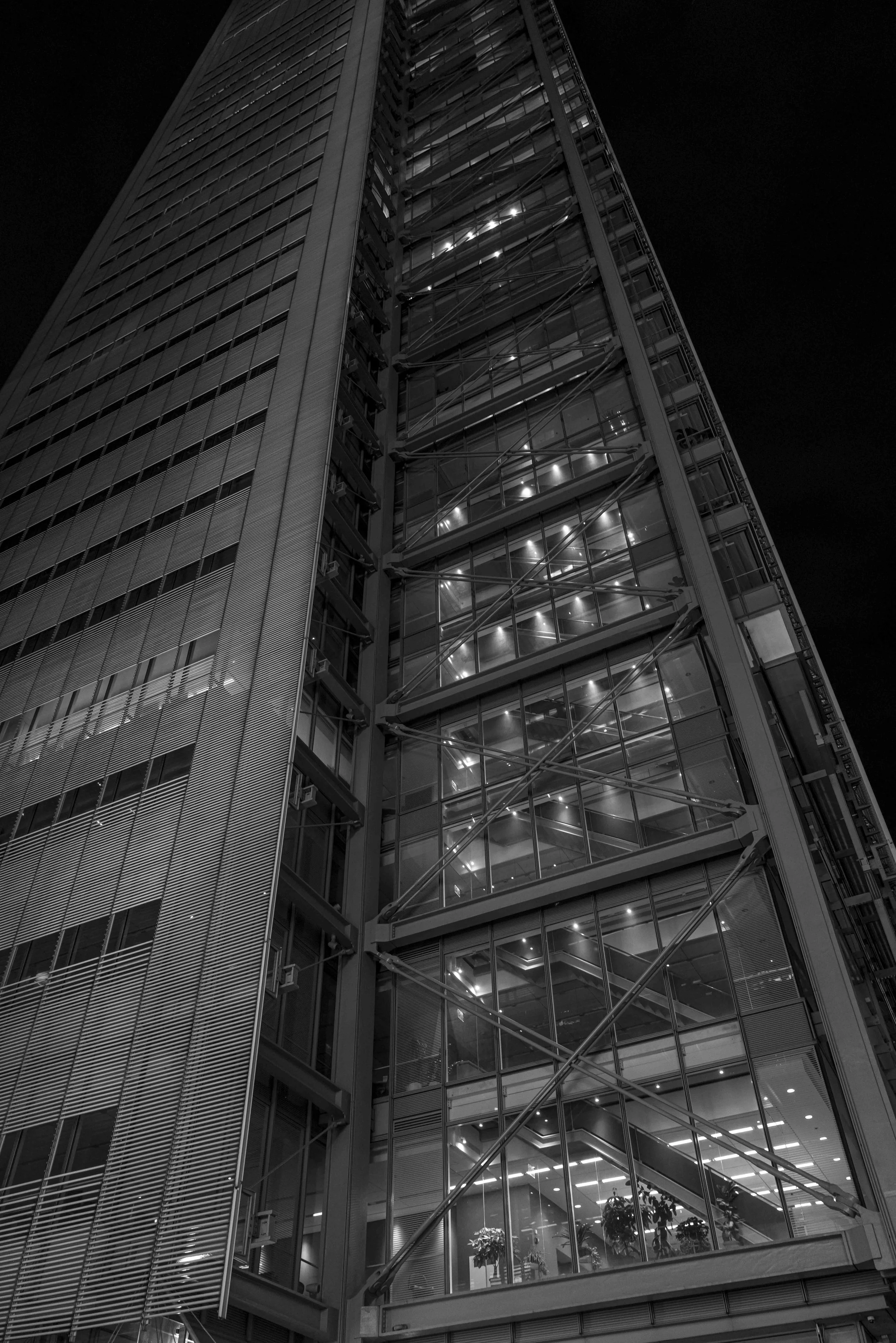 L1012432.jpg