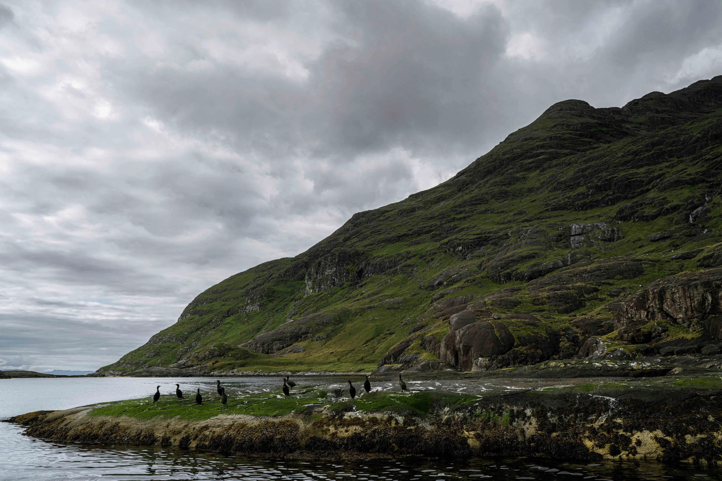 _IEB9985-3.jpg