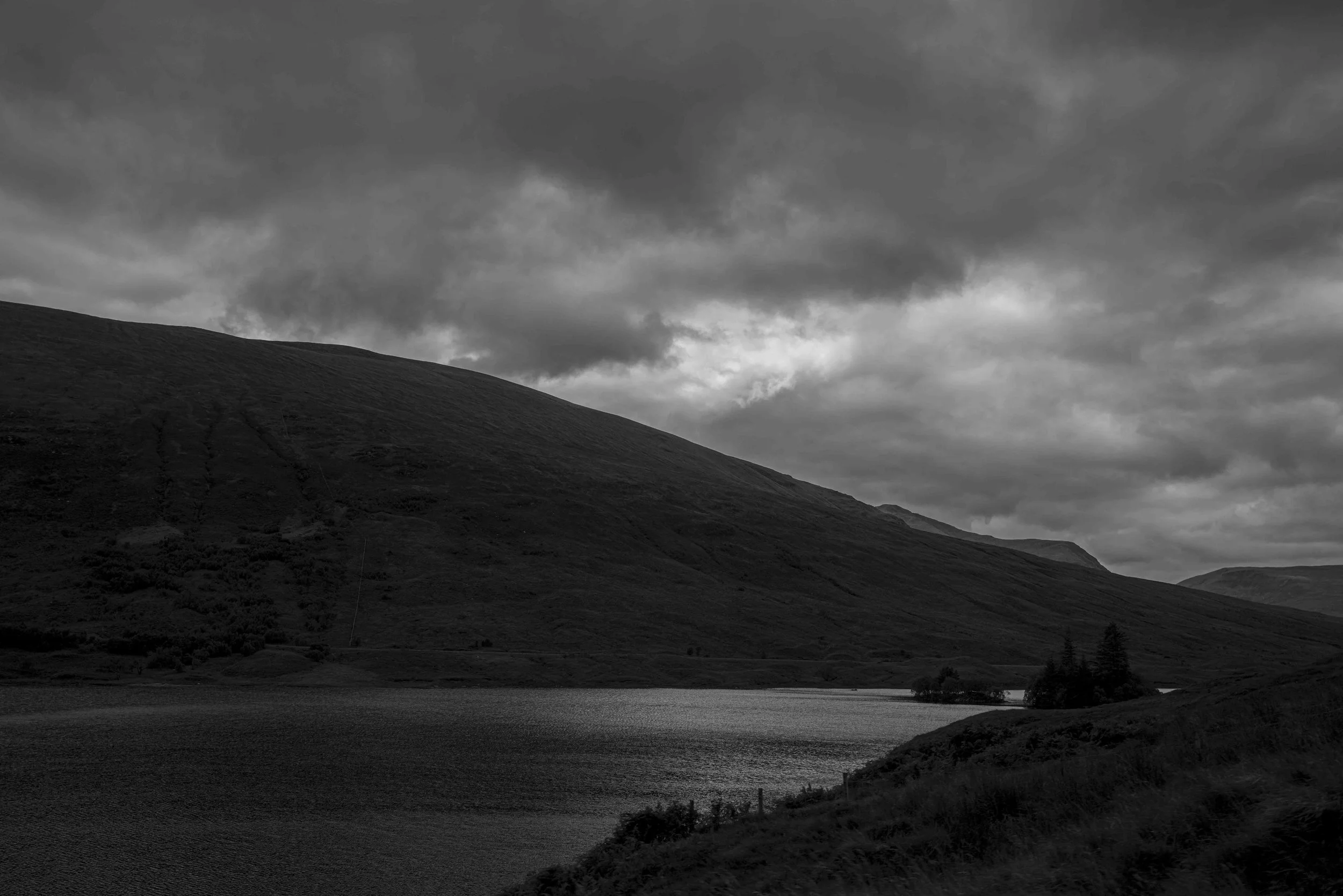 L1014508.jpg