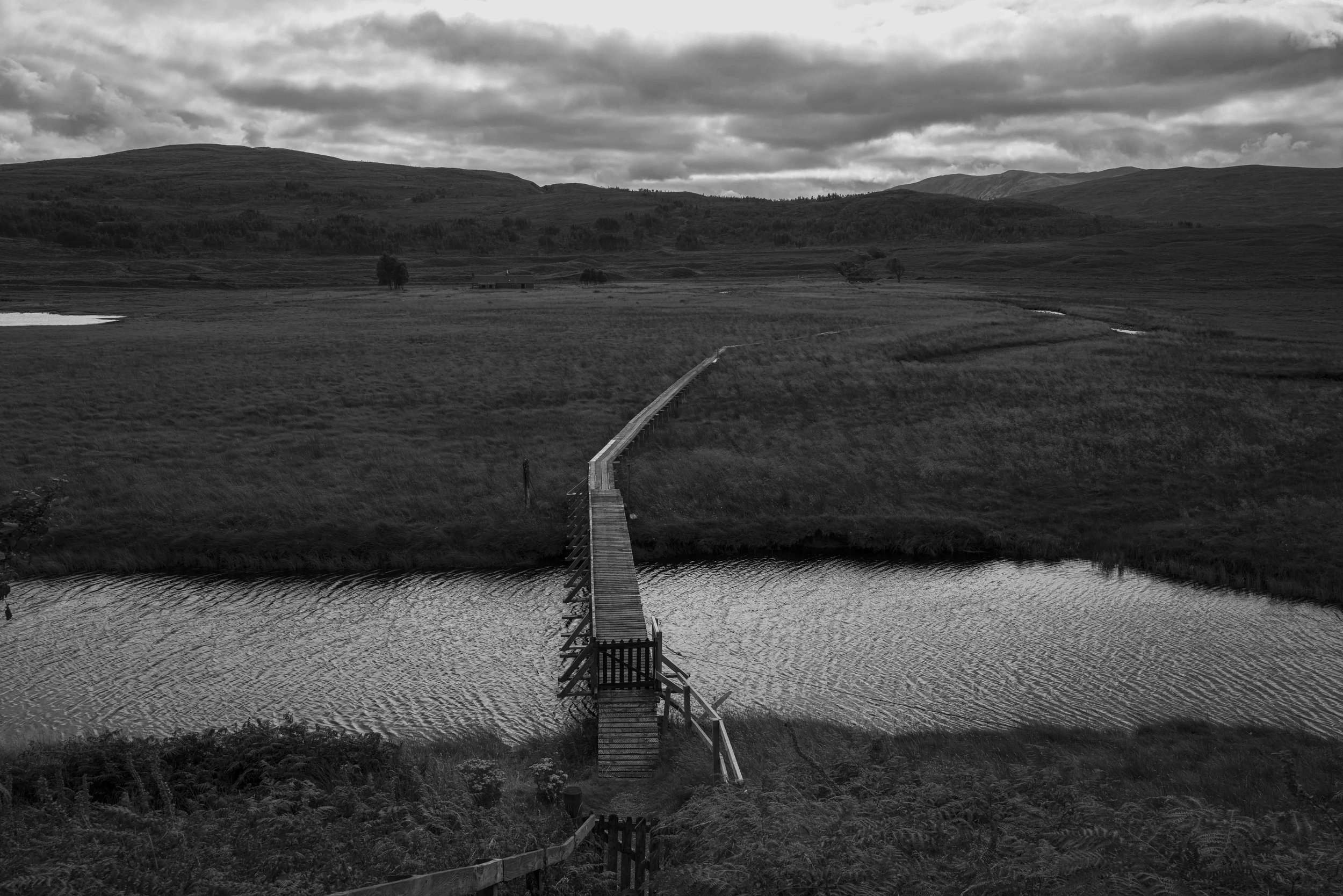 L1014488.jpg