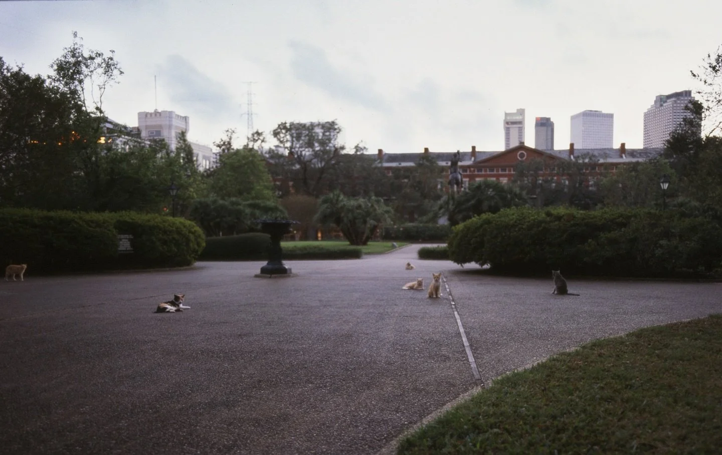 20 years ago I made travel plans with @mondays_off_ to meet her in Alabama and drive to NOLA - would be my first time there. When hurricane Katrina hit, my outbound flight home from NOLA was canceled. But when we heard they were letting people back i