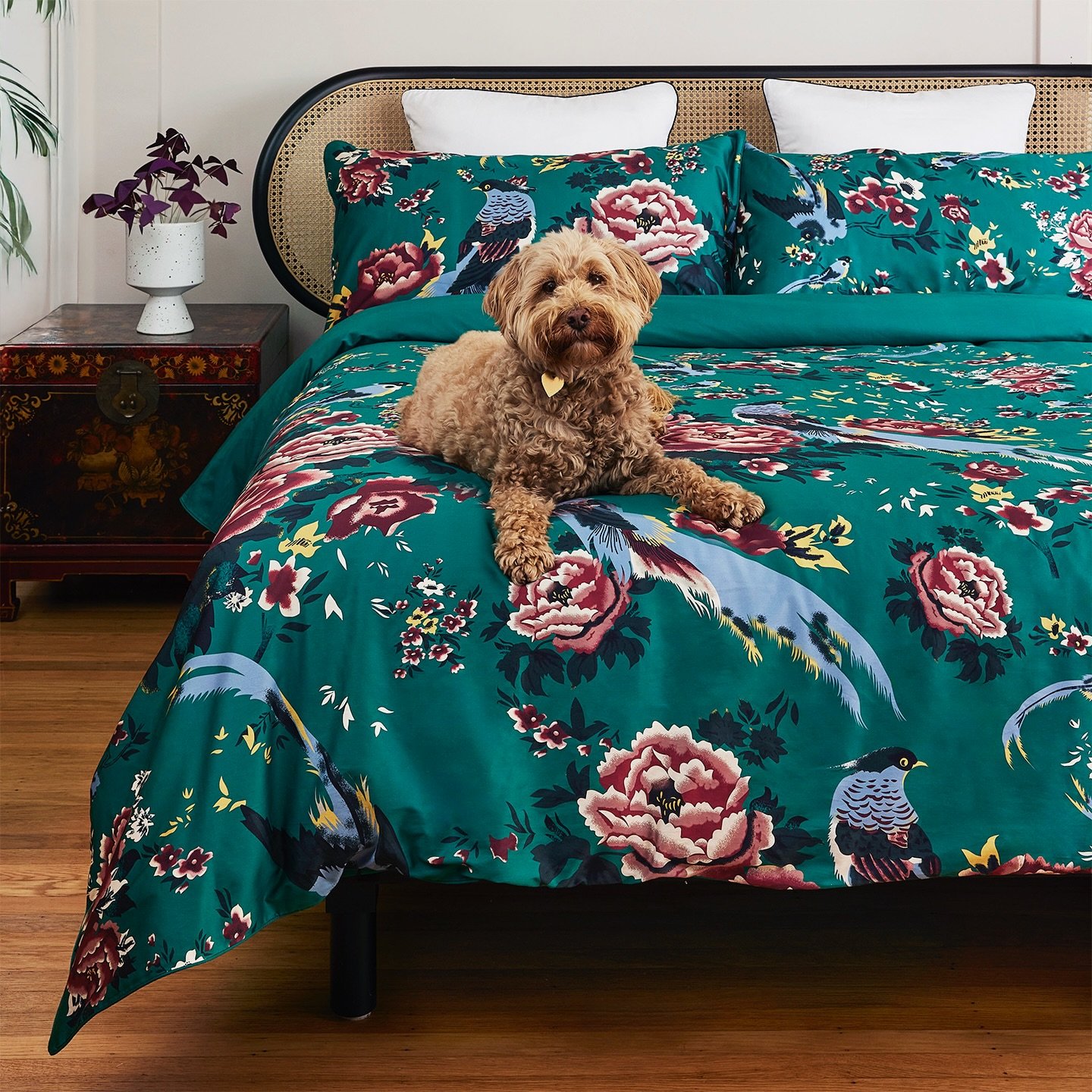 New updates for @kailu_silk. I love shooting for Kailu and their hand-stretched handmade raw silk luxury duvets and products. 
⠀⠀⠀⠀⠀⠀⠀⠀⠀
 
#commercialphotograher #commercialphotography #productphotographer #productphotography #advertisingphotography 