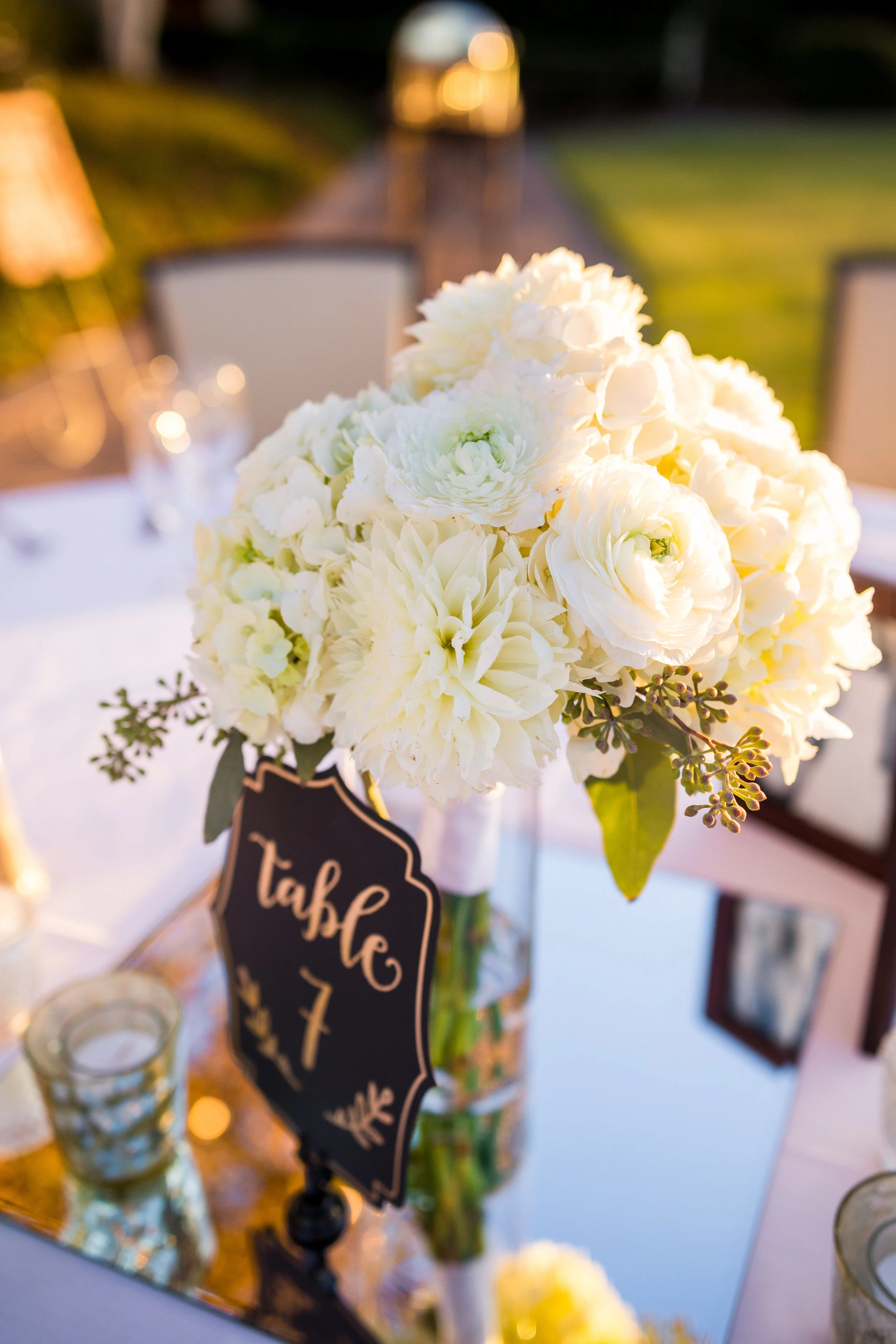 Shastina and Daniel Married-Reception-0037.jpg