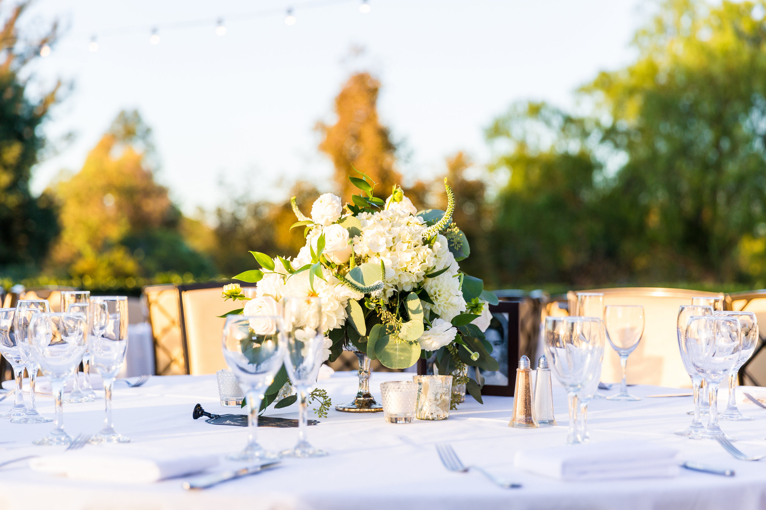 Shastina and Daniel Married-Reception-0028.jpg