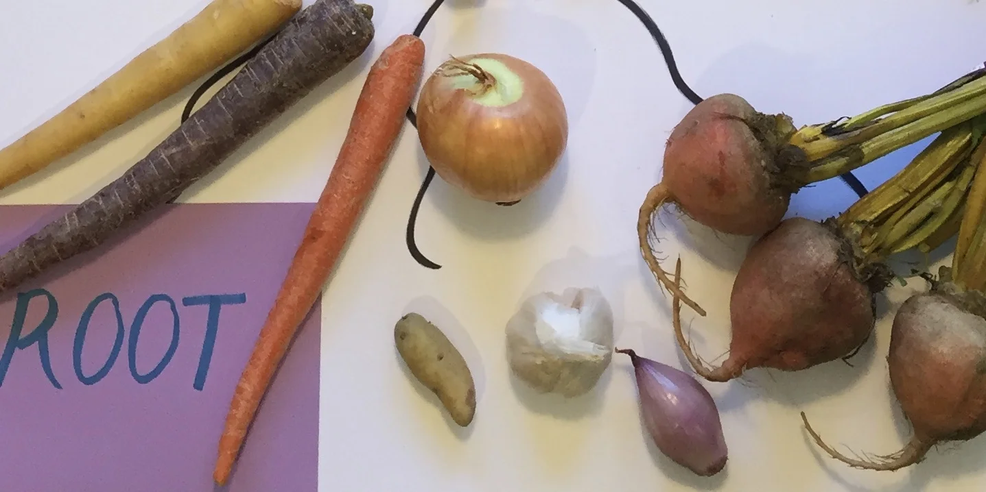 What are 6 parts of the plant that we eat? Stems? Flowers? What else