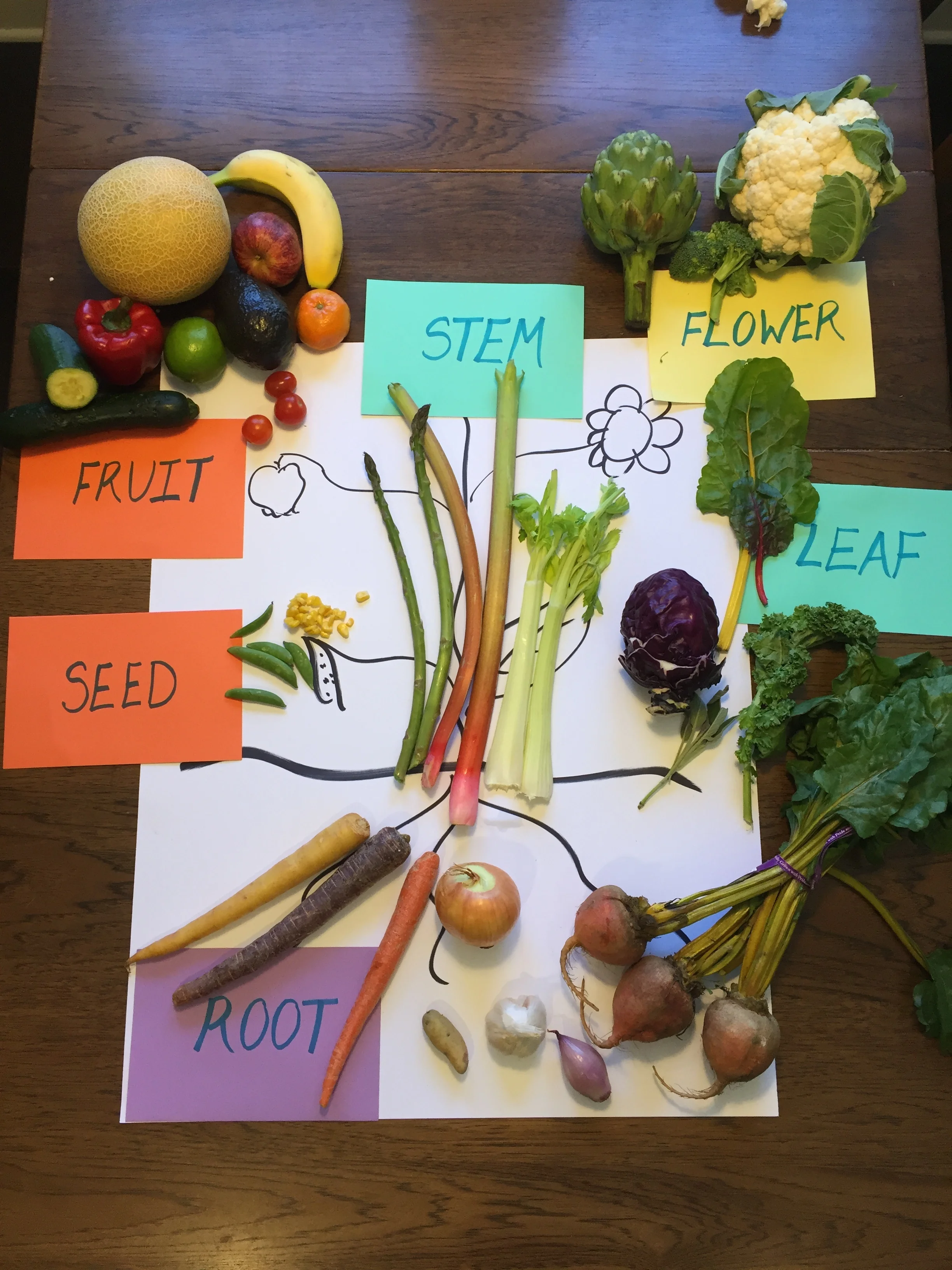 What are 6 parts of the plant that we eat? Stems? Flowers? What else?