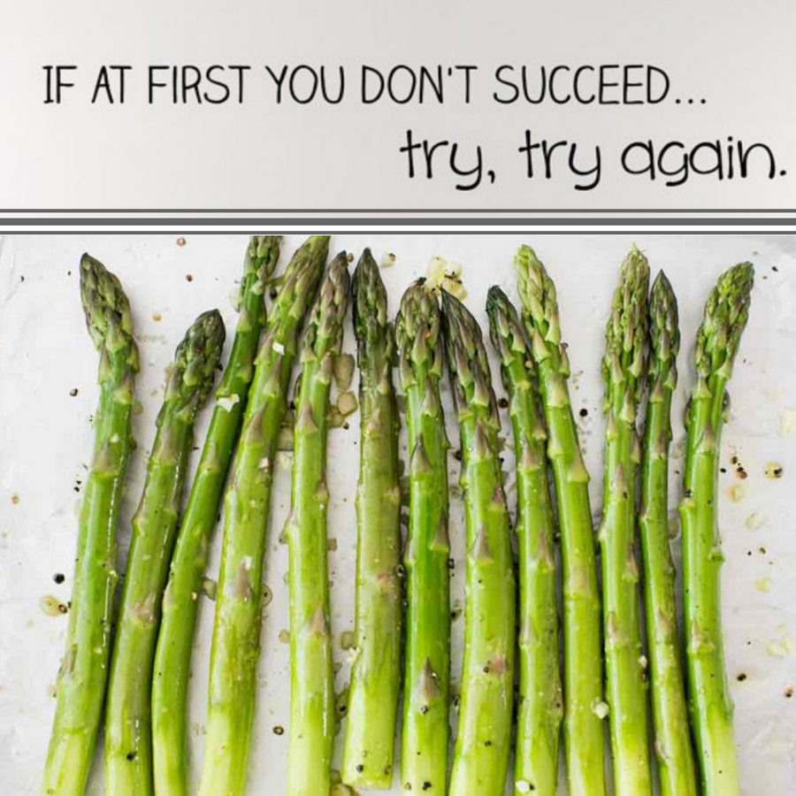 If at first you don't succeed try, try again!