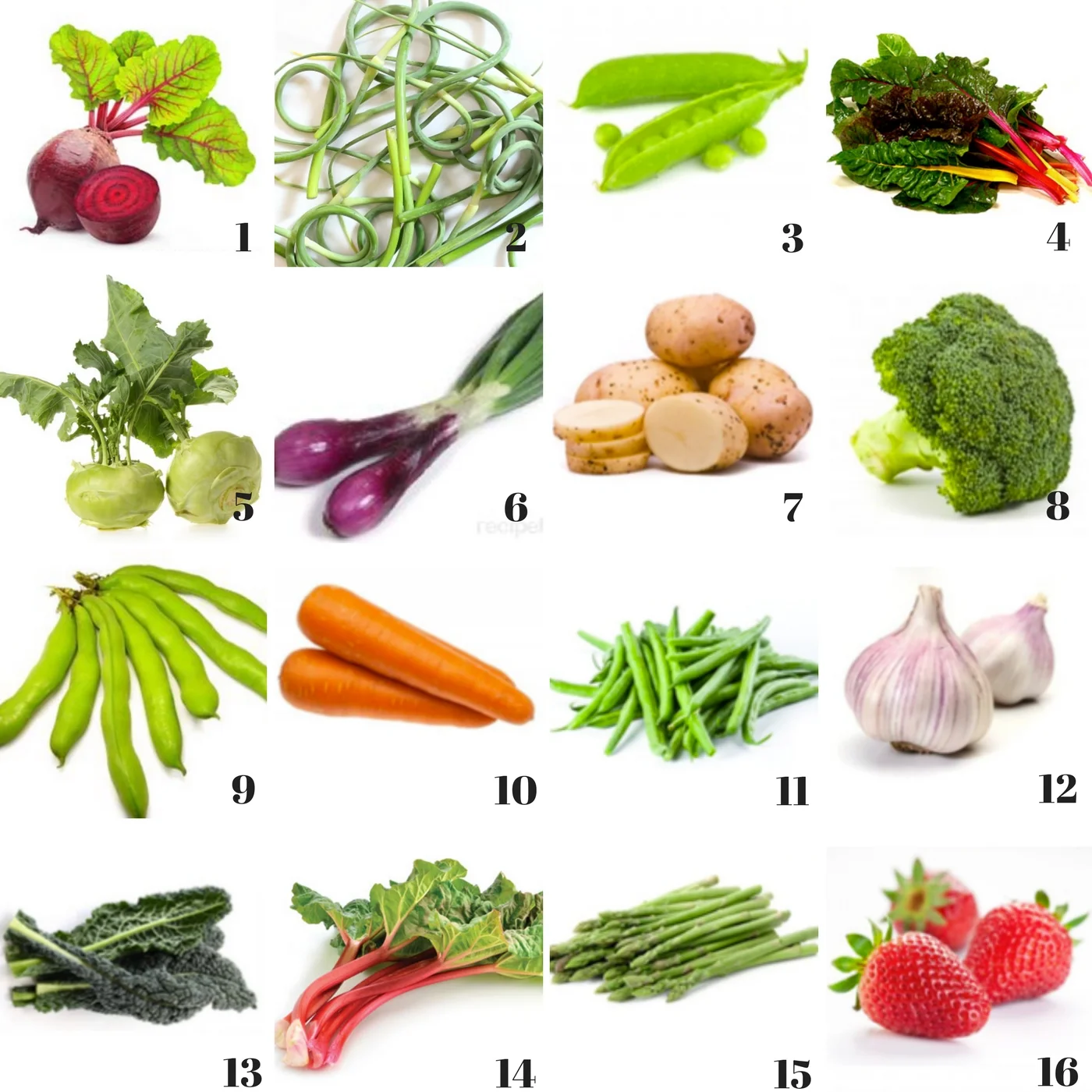 Summer Veggie Trivia!