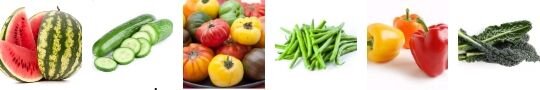 Veggies: 1. Melons 2. Cucumbers 3. Ten Varieties of Red, Yellow, Orange, Green, and Purple Heirloom Tomatoes 4. Green Beans 5. Red, Orange, Yellow, and Purple Peppers 6. Kale