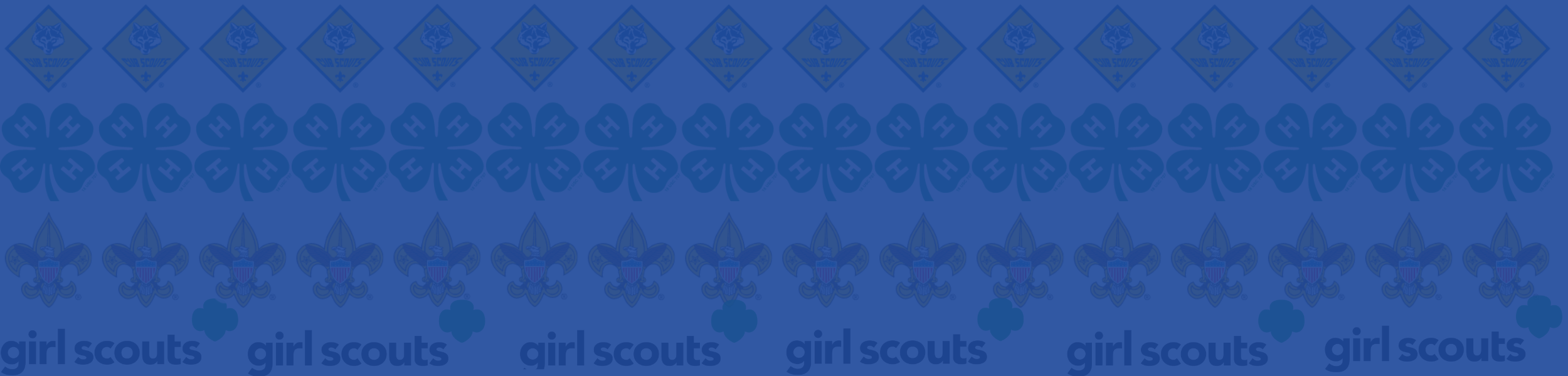 Top of page Banners (9).png