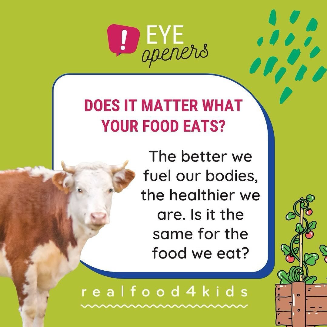 Food for thought this week! The question &ldquo;Does it matter what your food eats?&rdquo; is giving us something to think about as Farmers Market season begins, Sue starts reading the book &ldquo;What Your Food Ate&rdquo; for her @lesdamesdsm book c