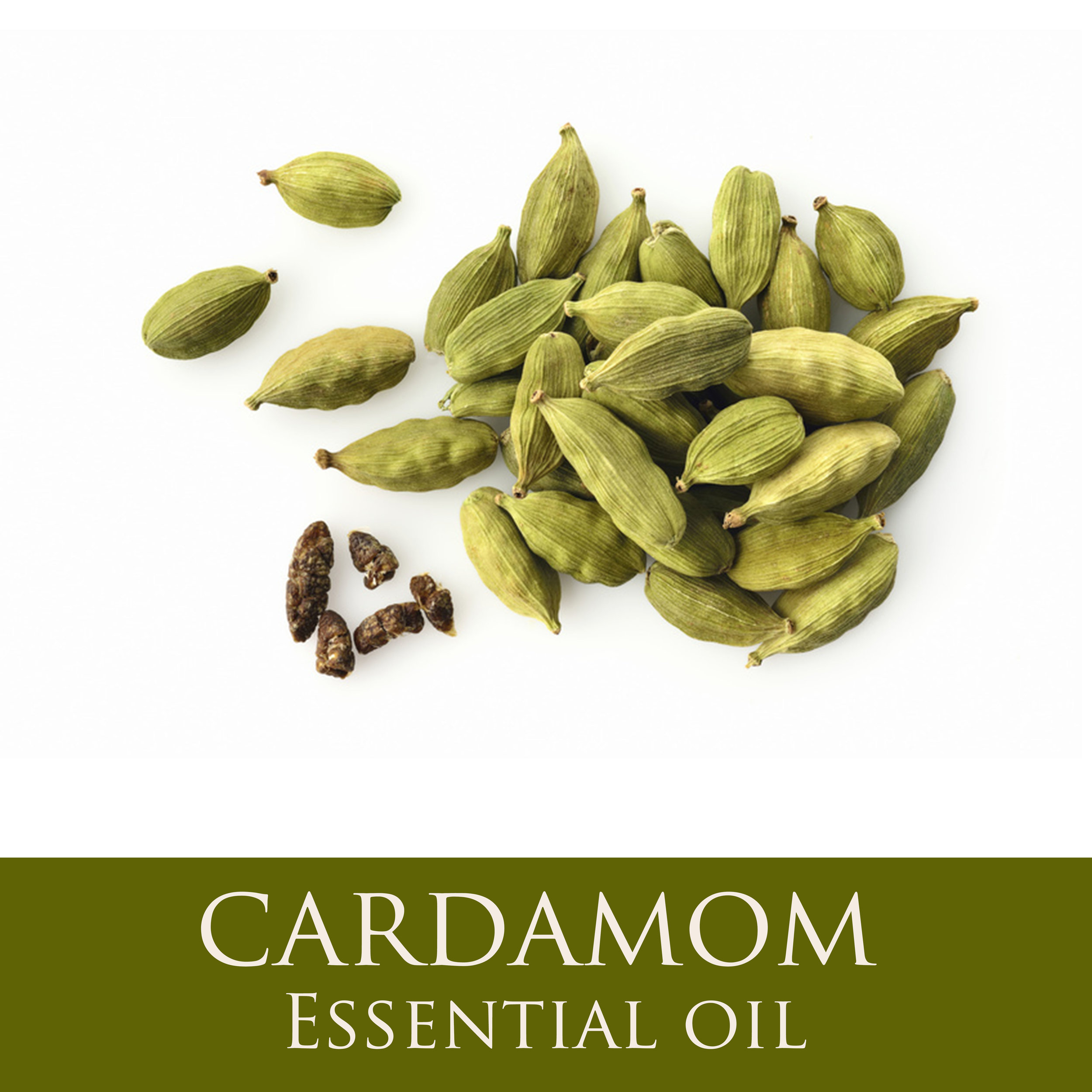 Cardamom.jpg